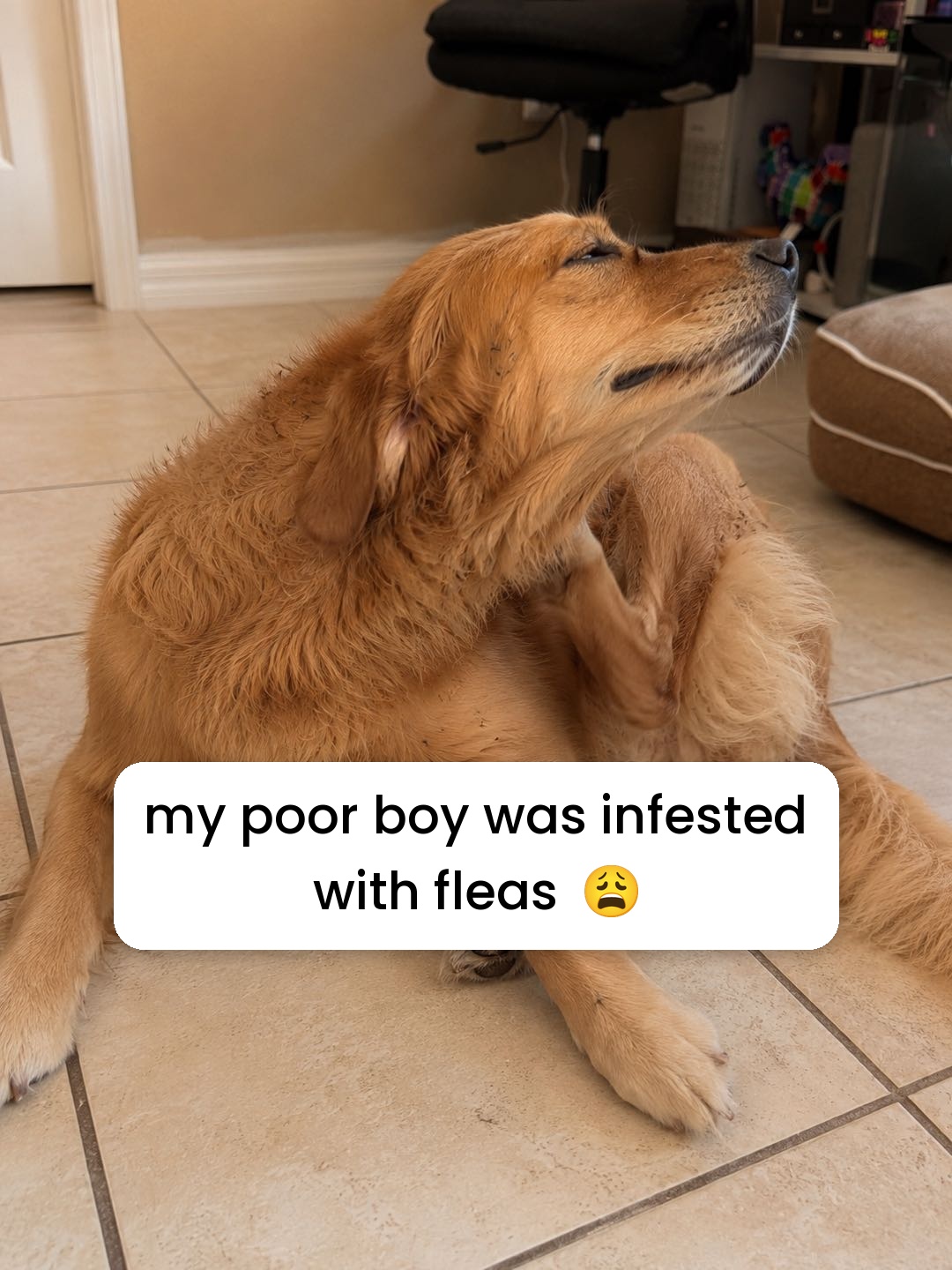 @Christopher_Finds