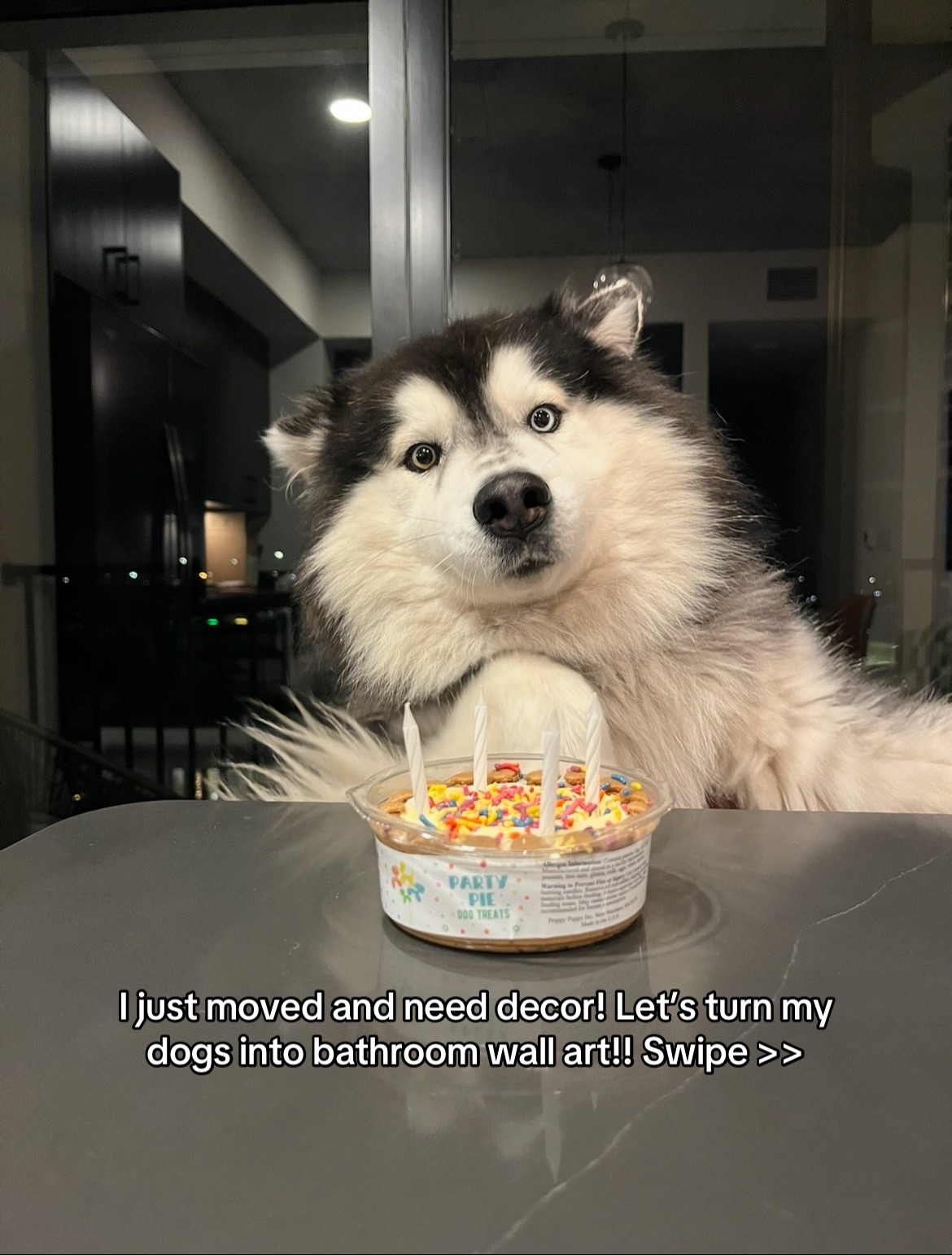 @Winnie & Wookie🐾