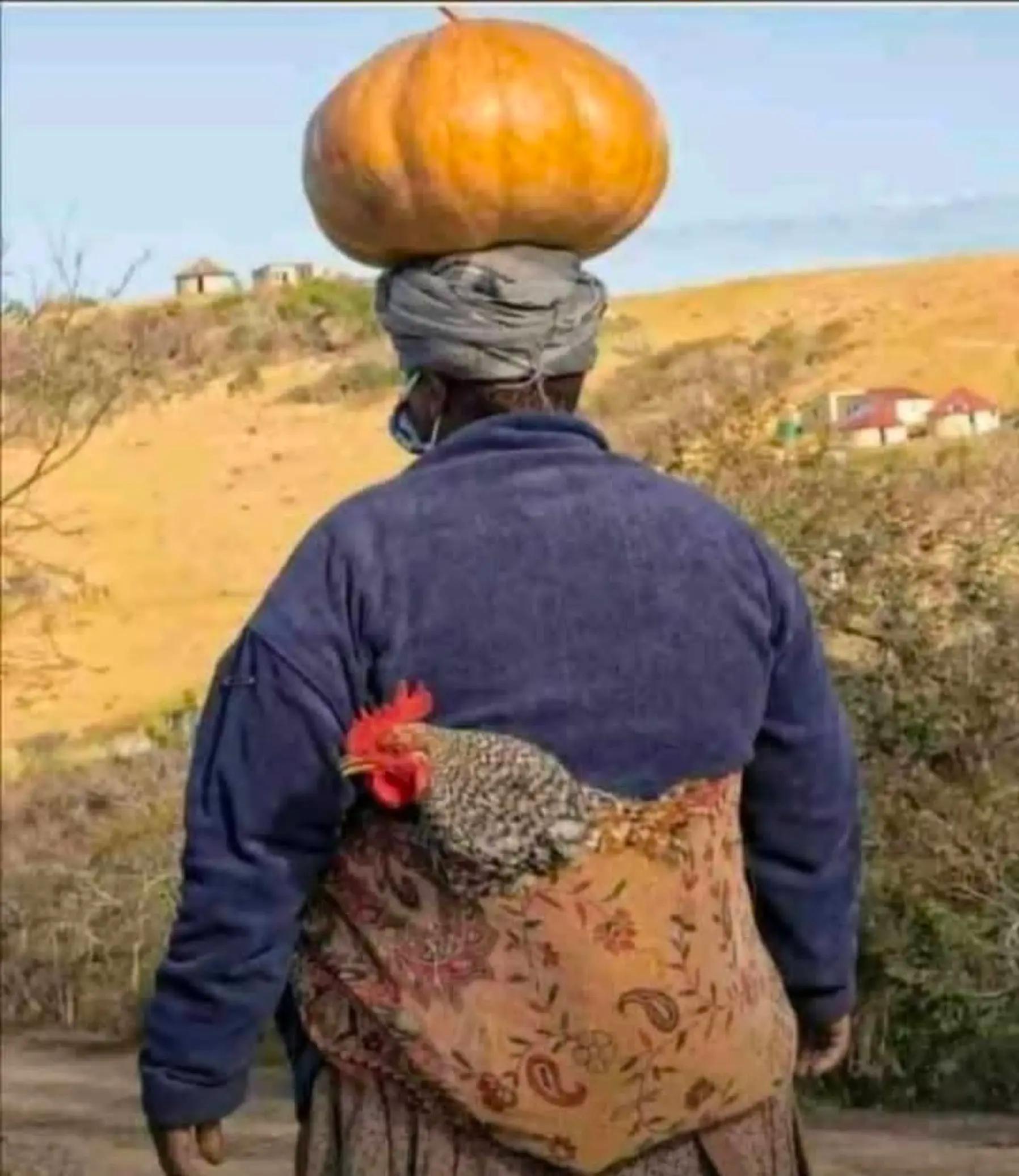 @Msandi Kababa