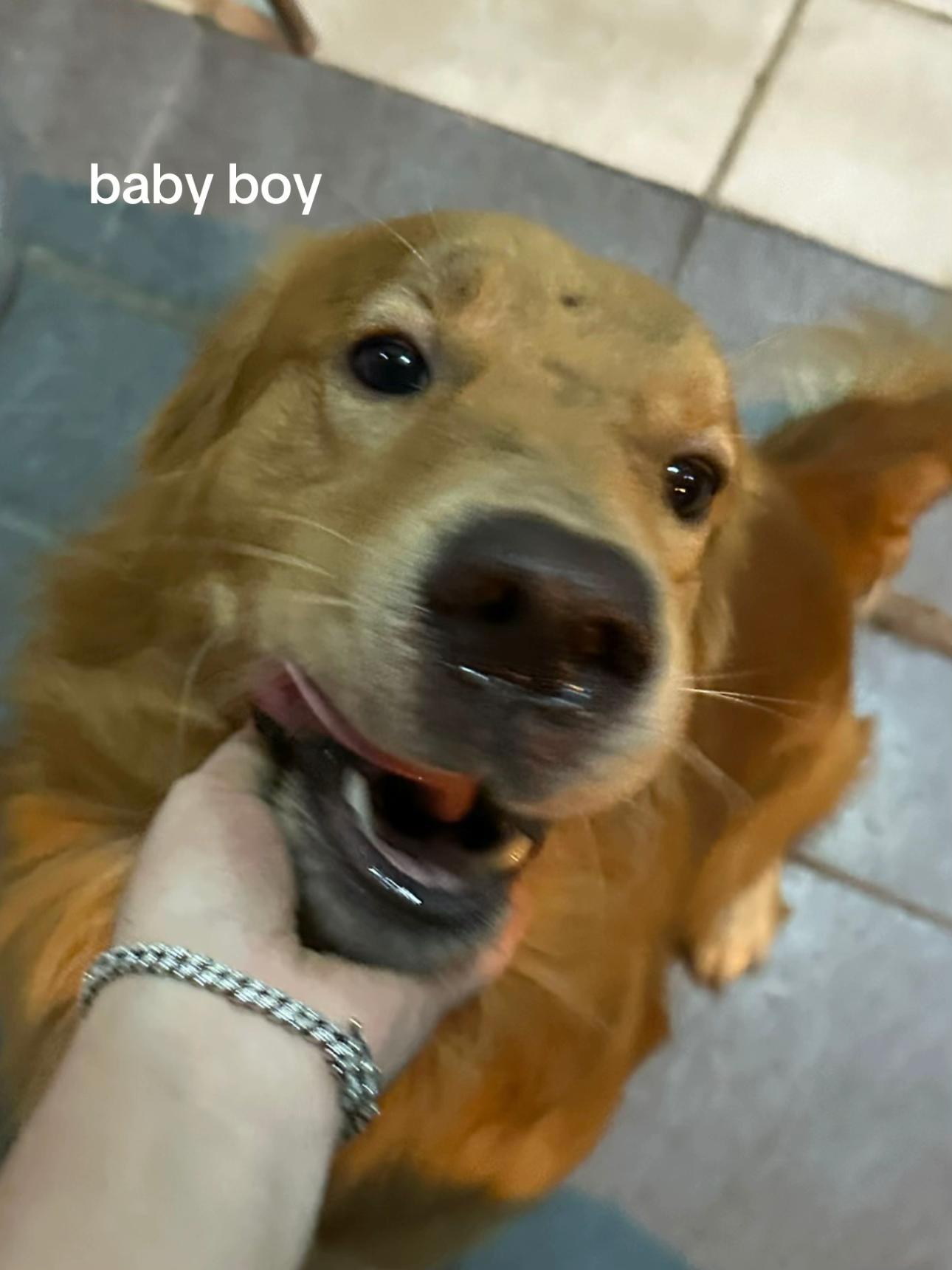 @B.BerryBom