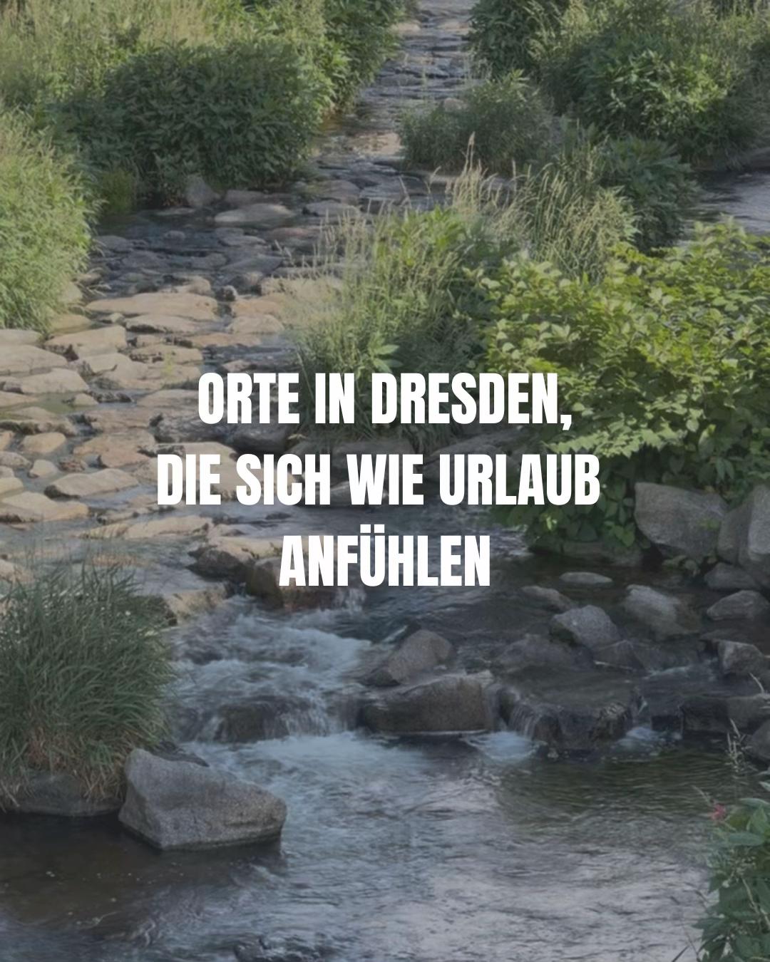 @solebtdresden