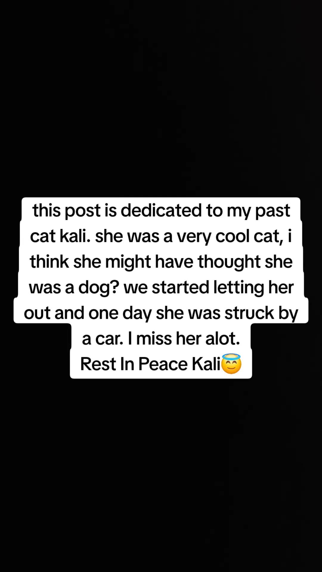 @Catgaga