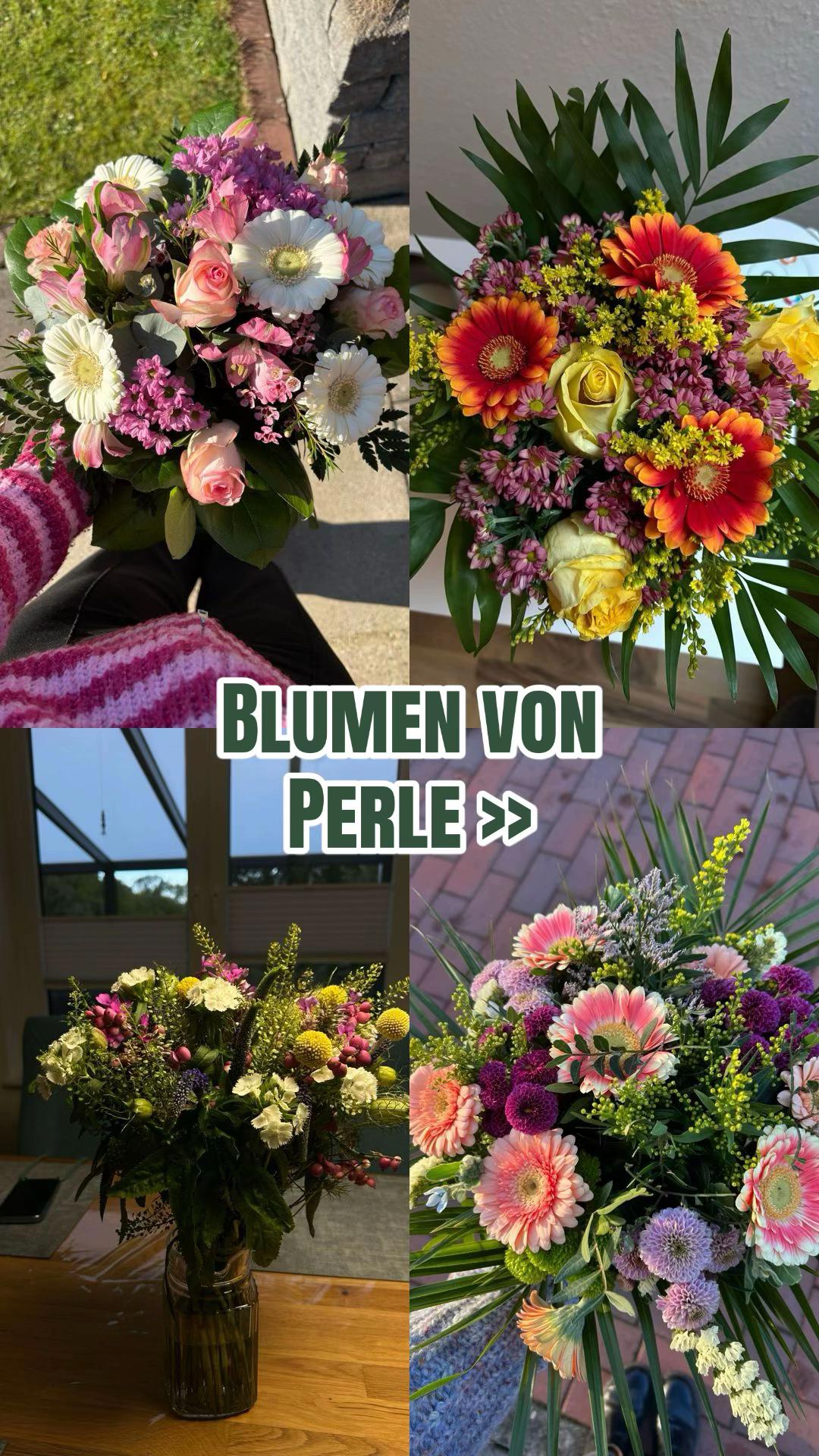 @Amy Sophie 💐