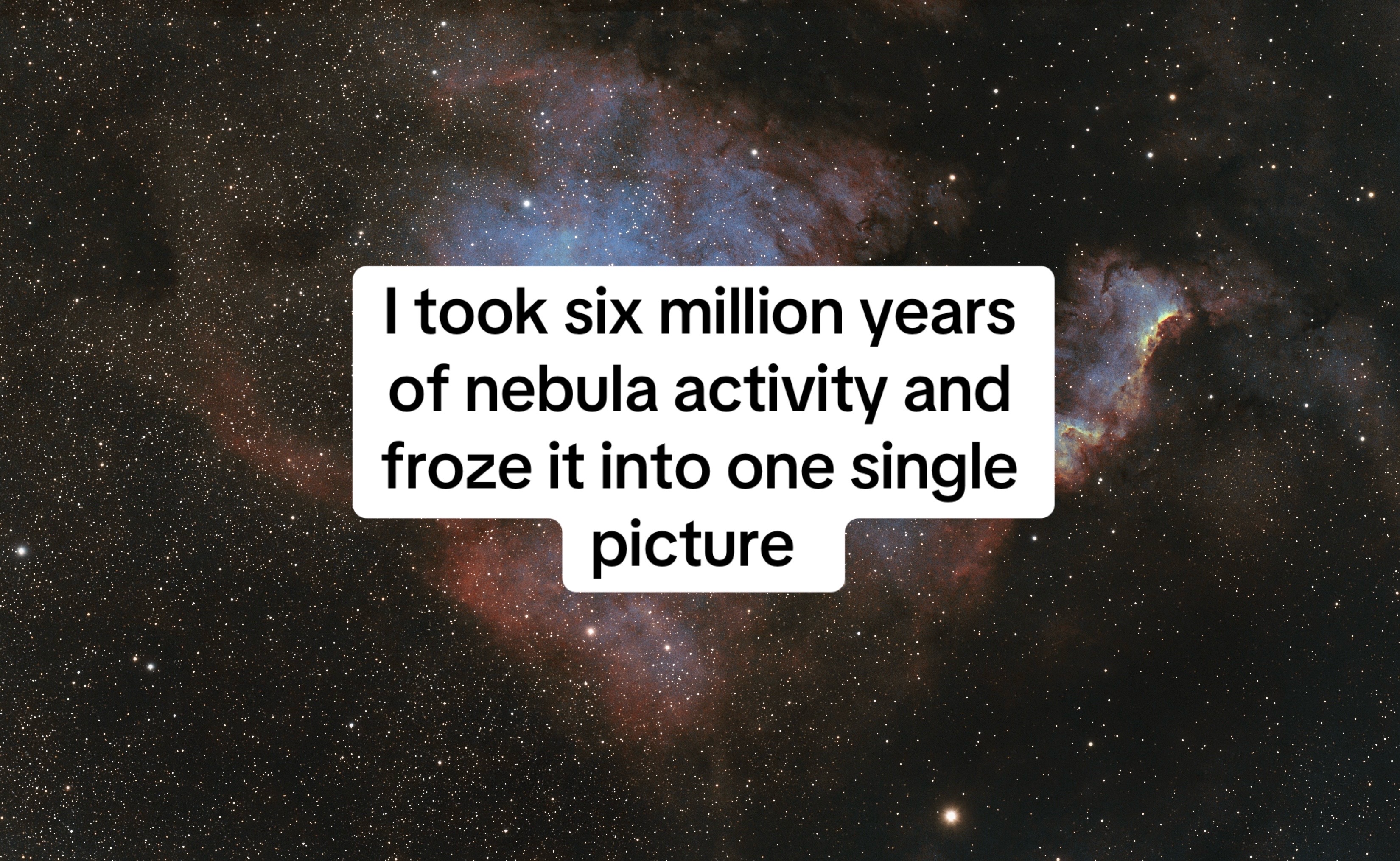 @MartF(x)na AKA Echo 🔭