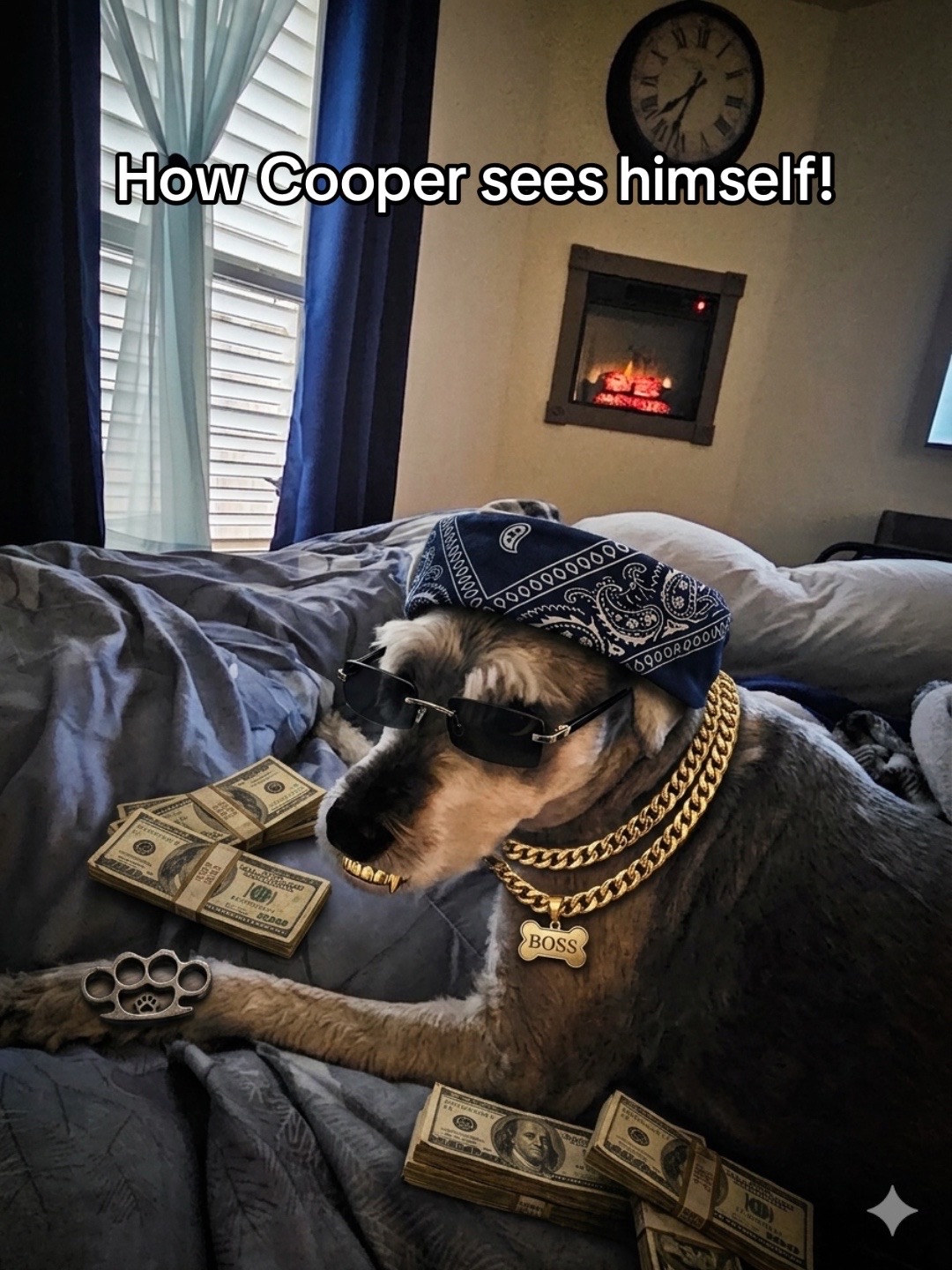 @Cooper The Schnauzer
