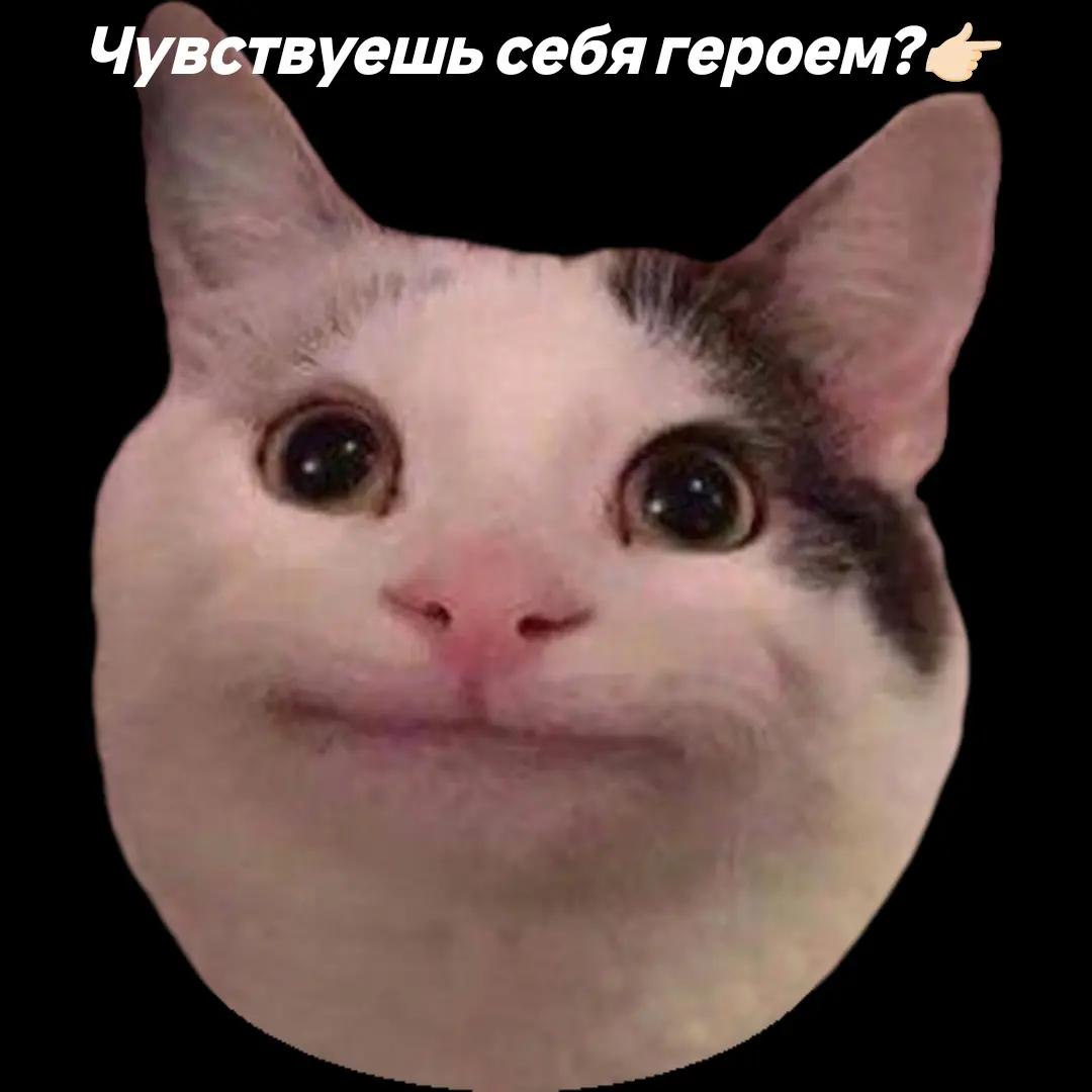@𝓥𝓪𝓷𝓡𝓸𝓾𝓮