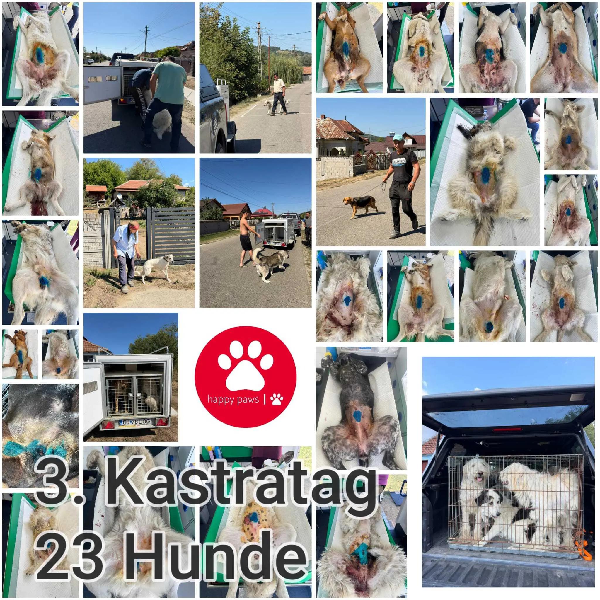 @Happy Paws Germany