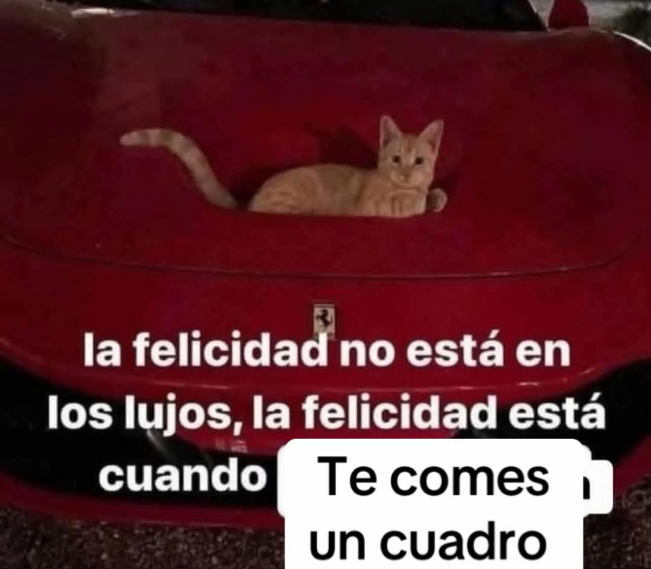 @Trips Colombia