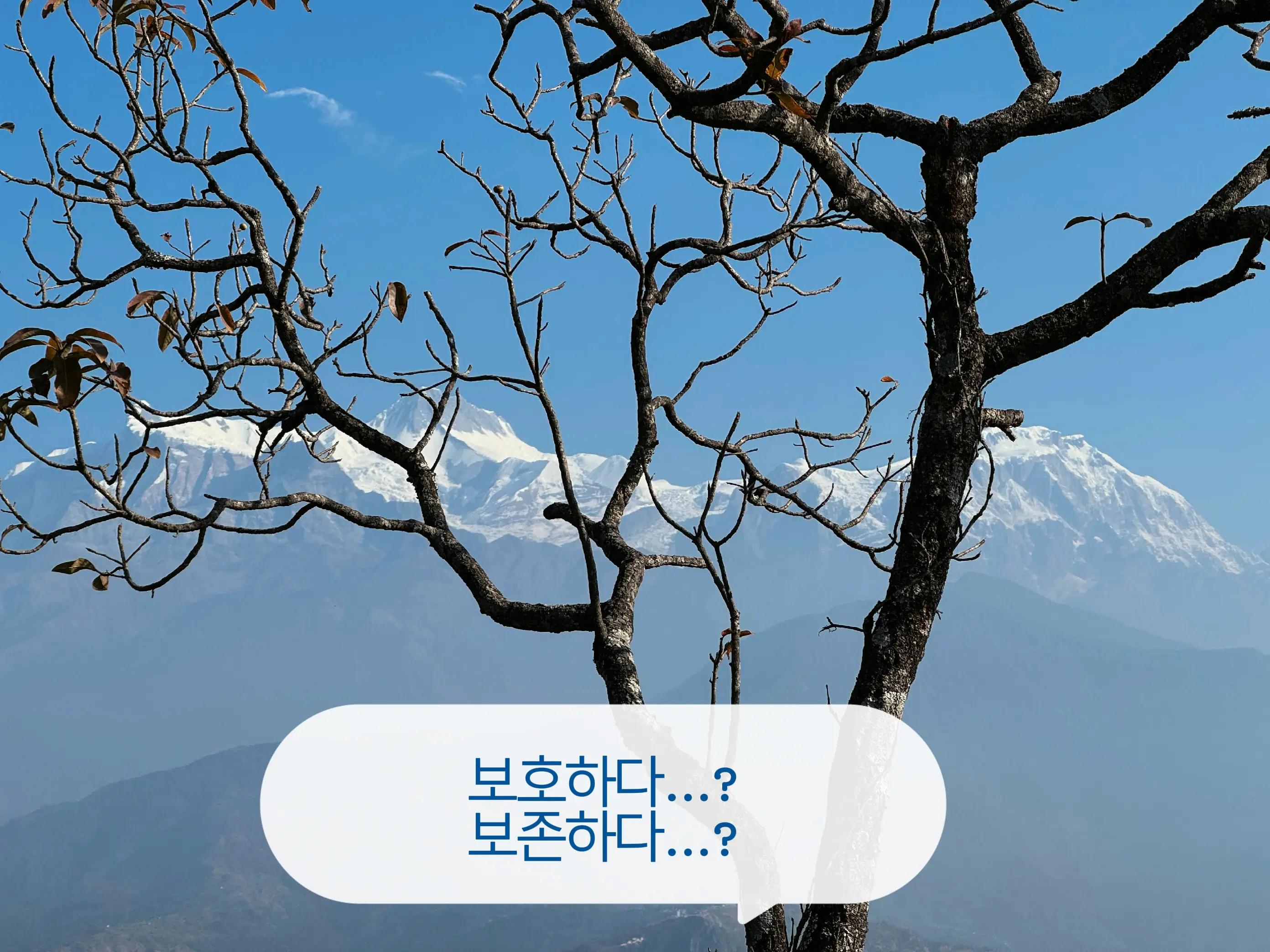 @🇳🇵 𝐔𝐫_𝐒𝐚𝐋𝐢𝐍_𝟎𝟕 🇰🇷