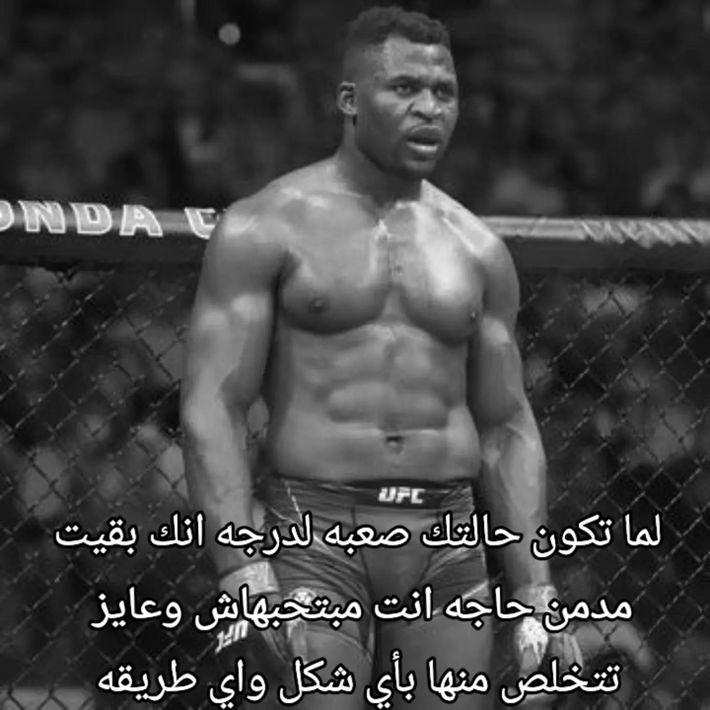 @شوكه مطبخ