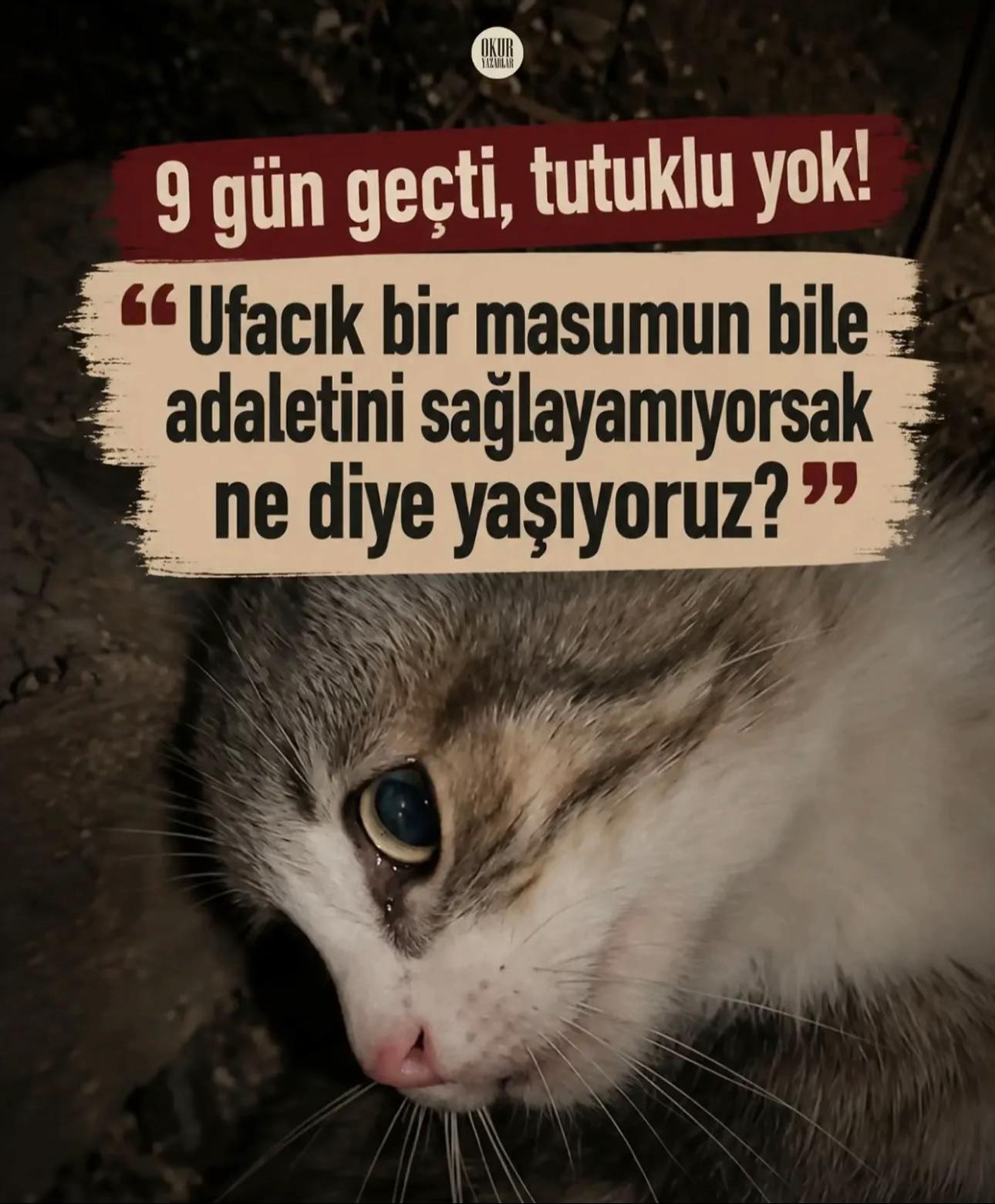 @konusankediminnos