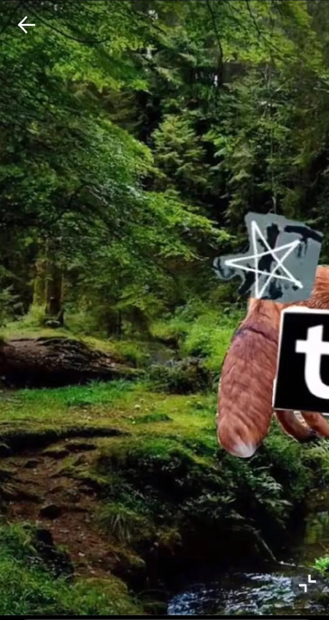 @🌿𝑝𝑎𝑛𝑔𝑦𝑎★🌱╶⃝⃤