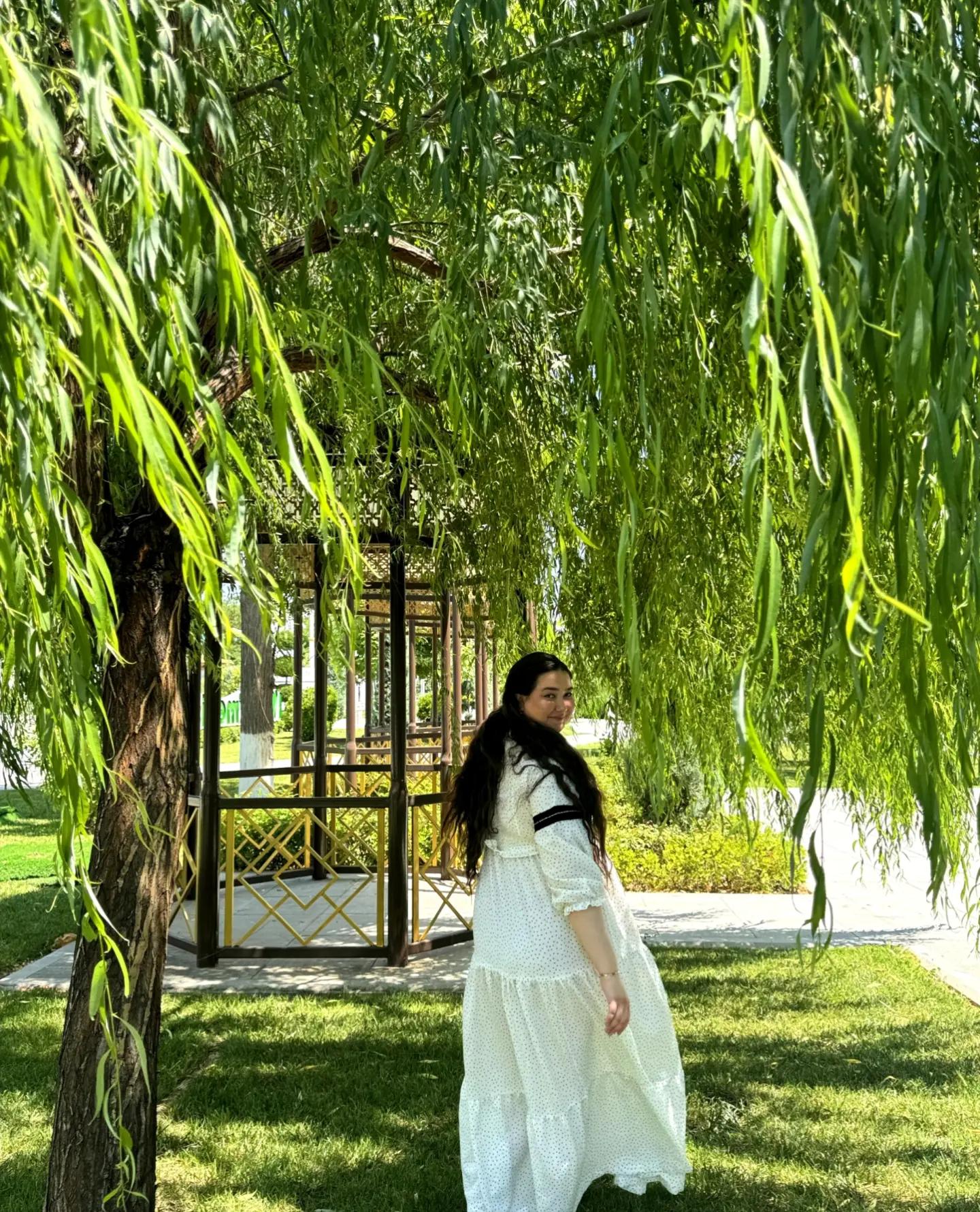 @hikigrey