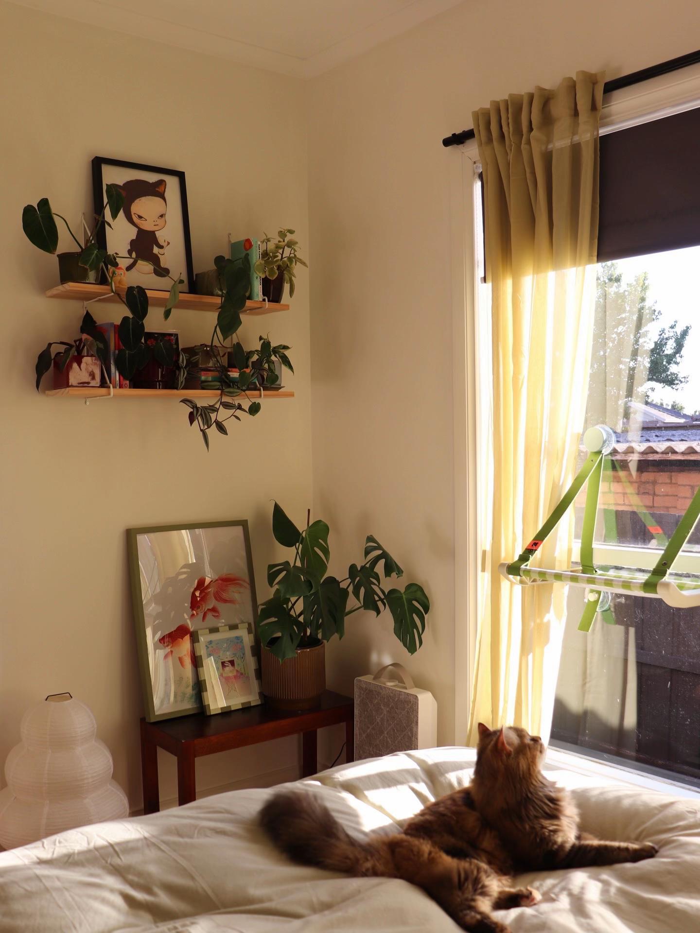 @Mochi's home