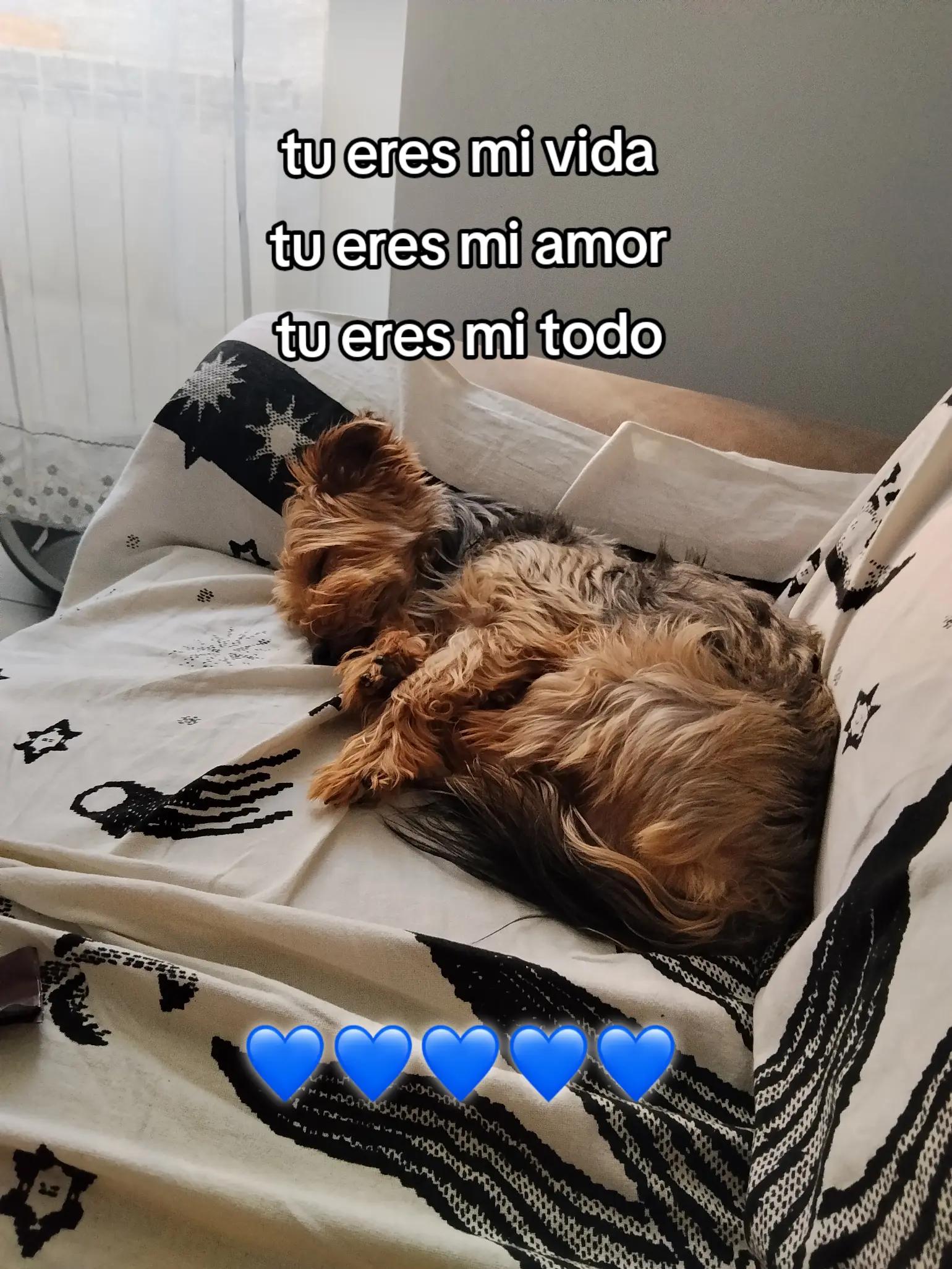 @Lud0_👸🏻💘