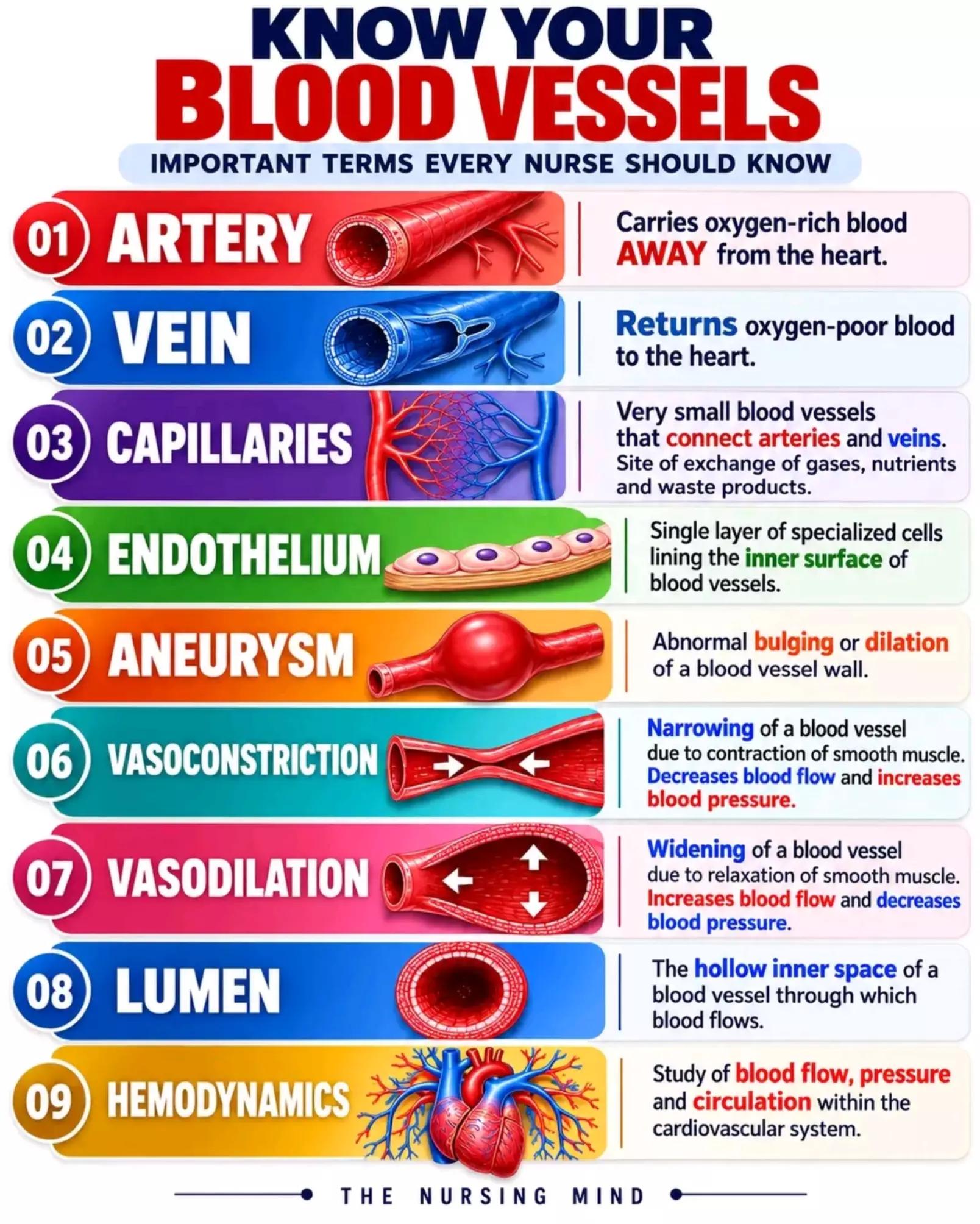 @The_Nursing_Mind
