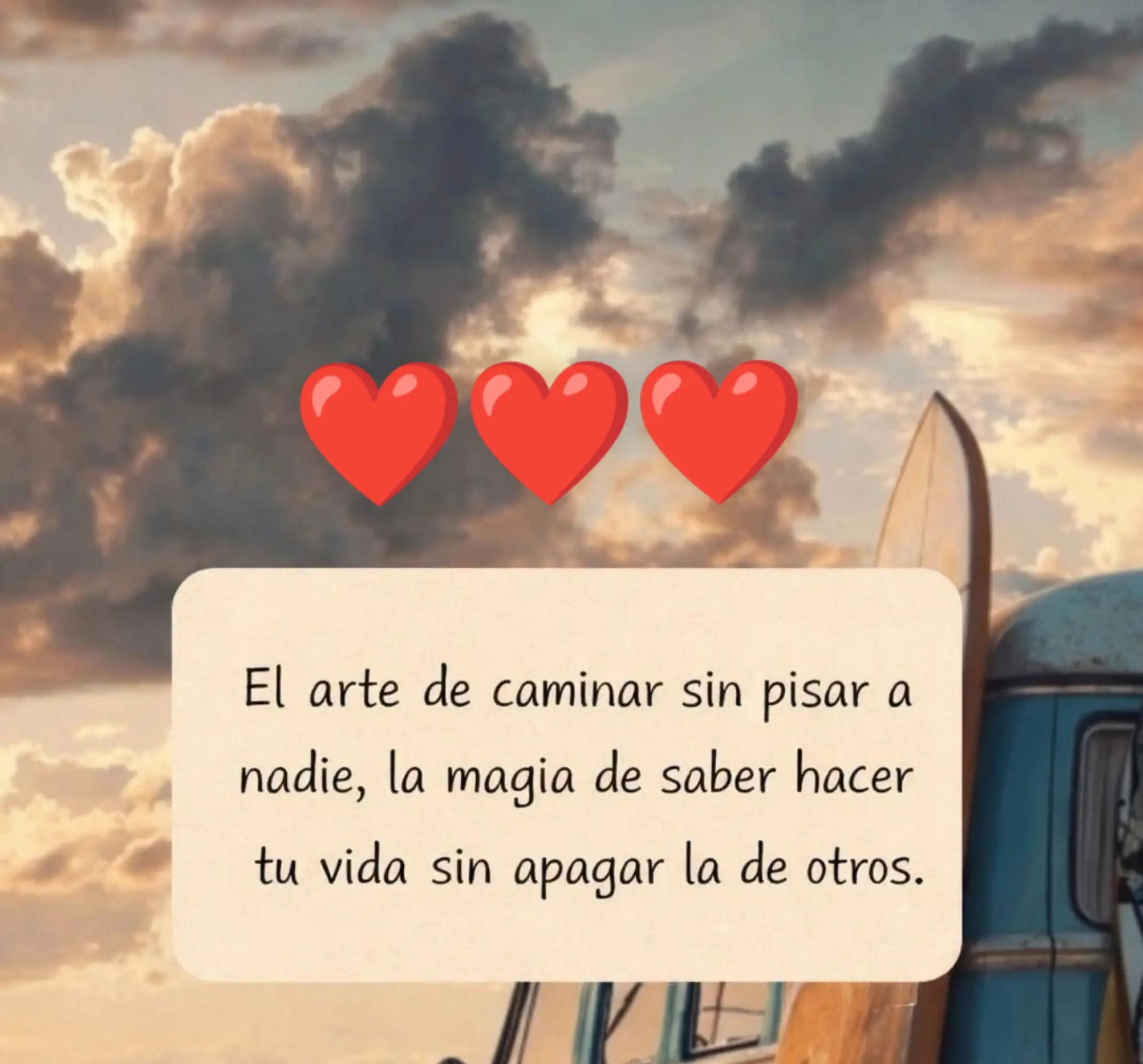 @alileiva ✨🌺🫀🧠🥂