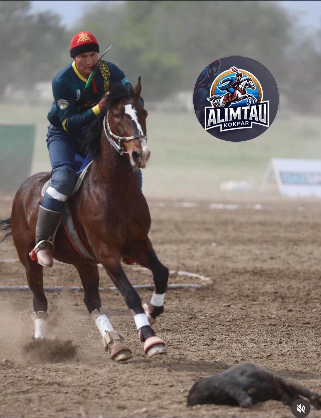 @Alimtau_kokpar