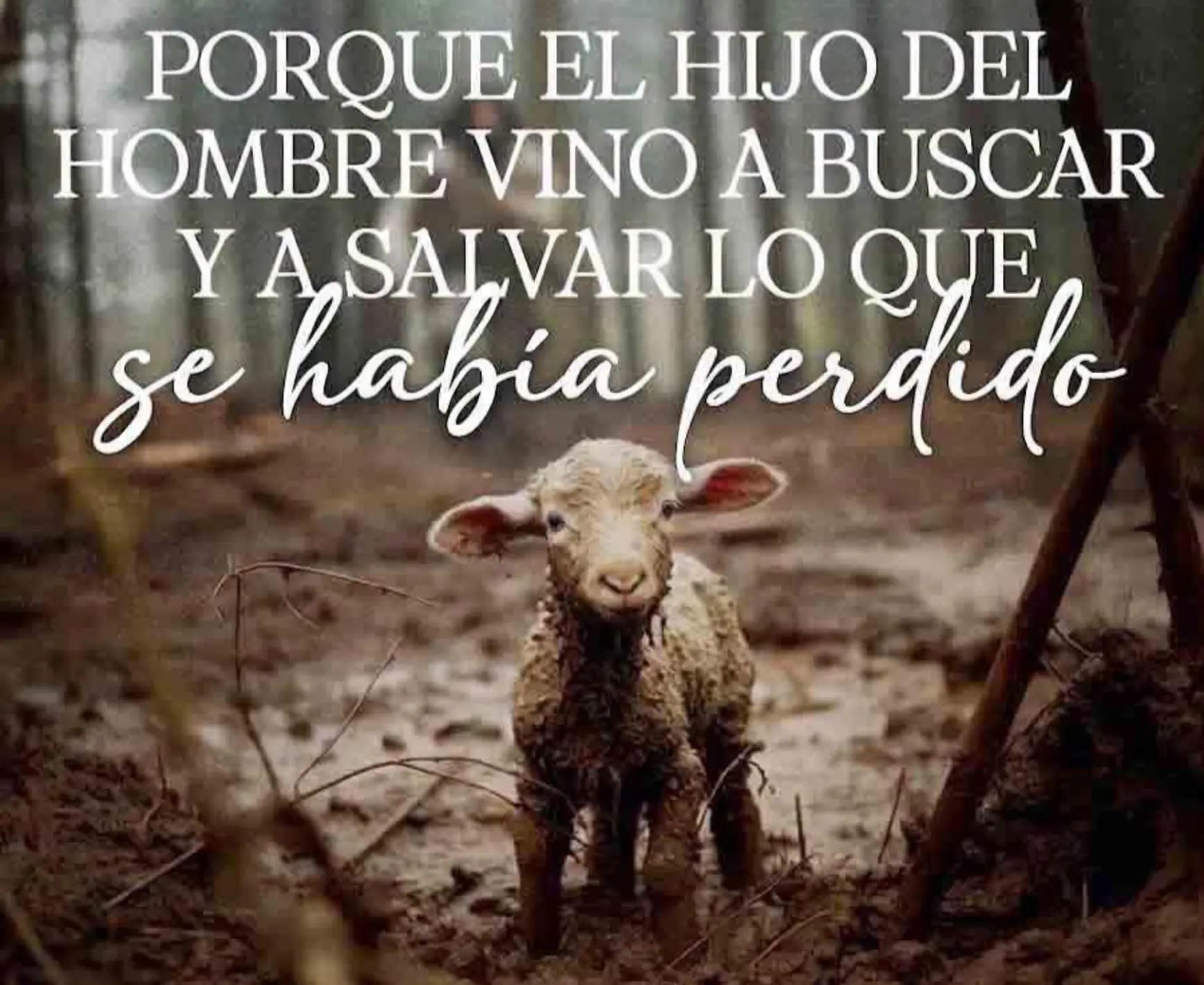 @soy el que soy