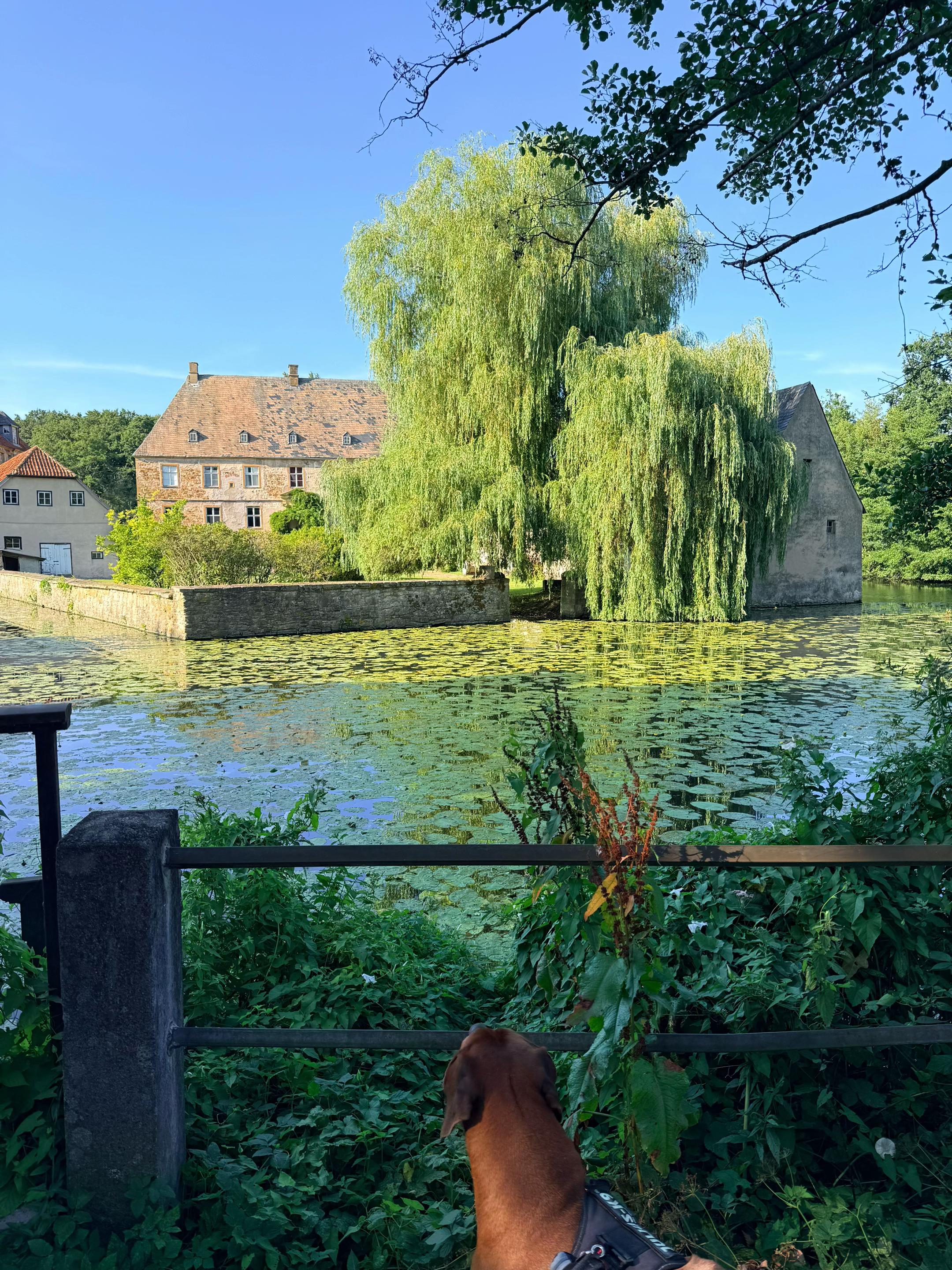 @Ümmi