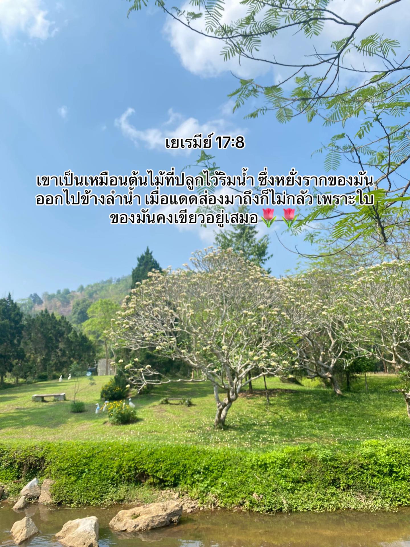 @พื้นที่สีเขียว🍃