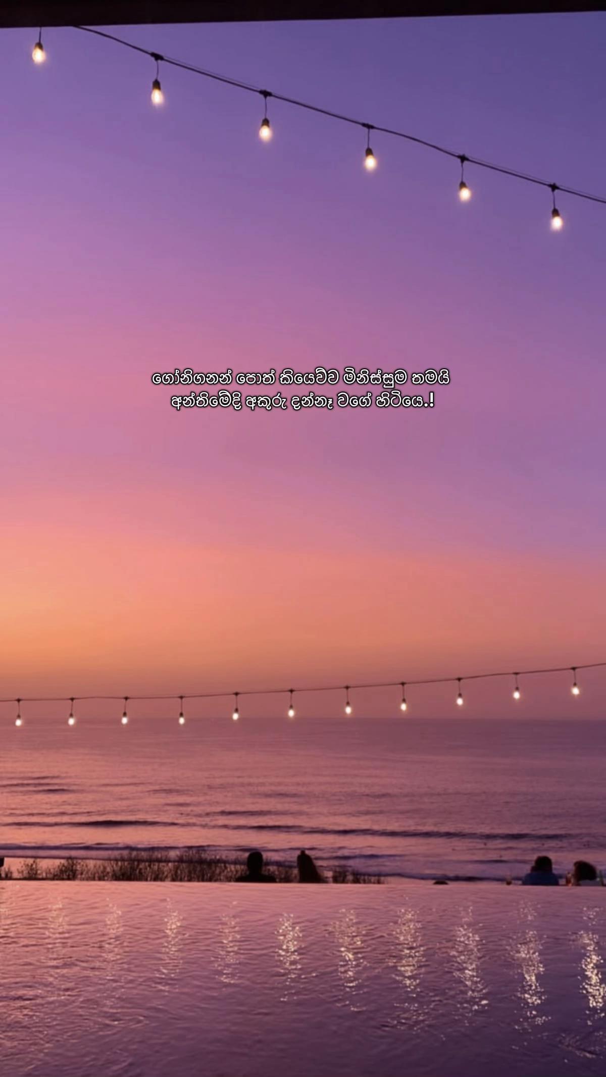 @ꇘ𝕙𝕖𝕨♡