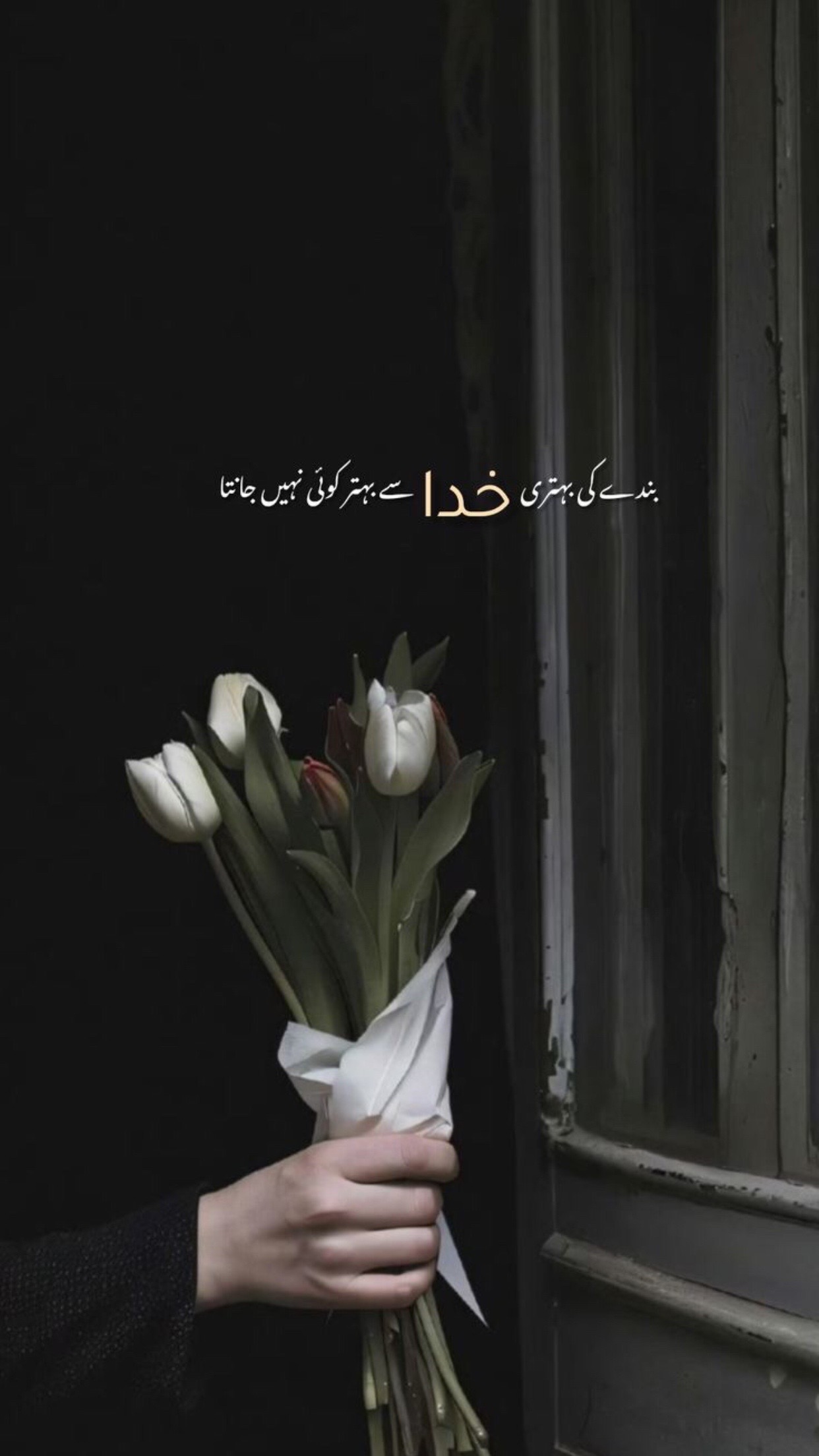 @ARSHMEEN🪷🎀♾️