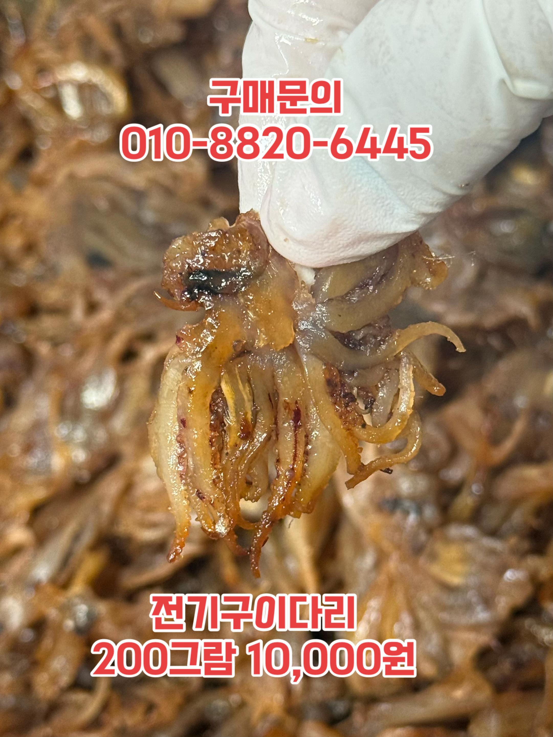@숭사장건어물(숭사장오징어)🦑