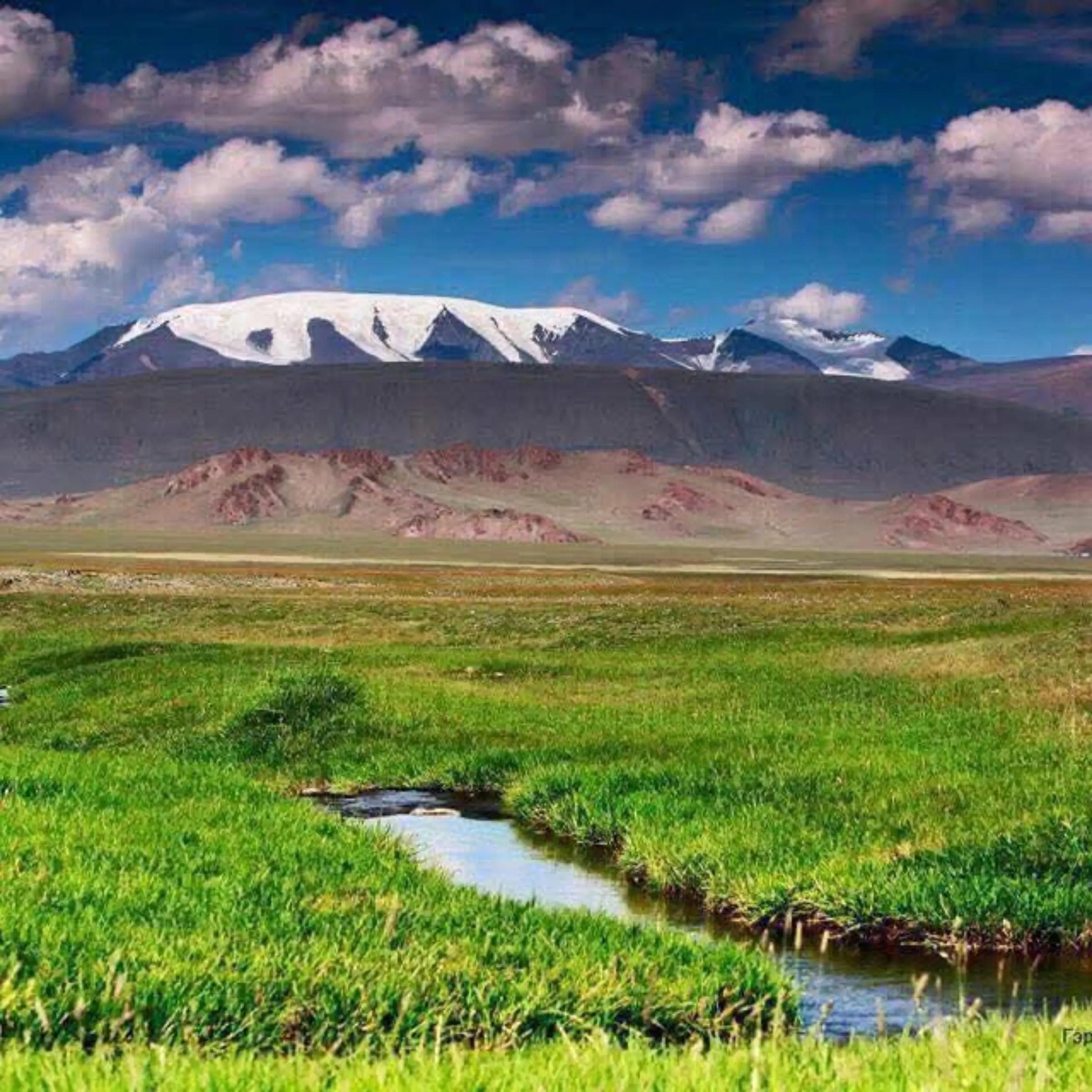 @Narmai-mongolism