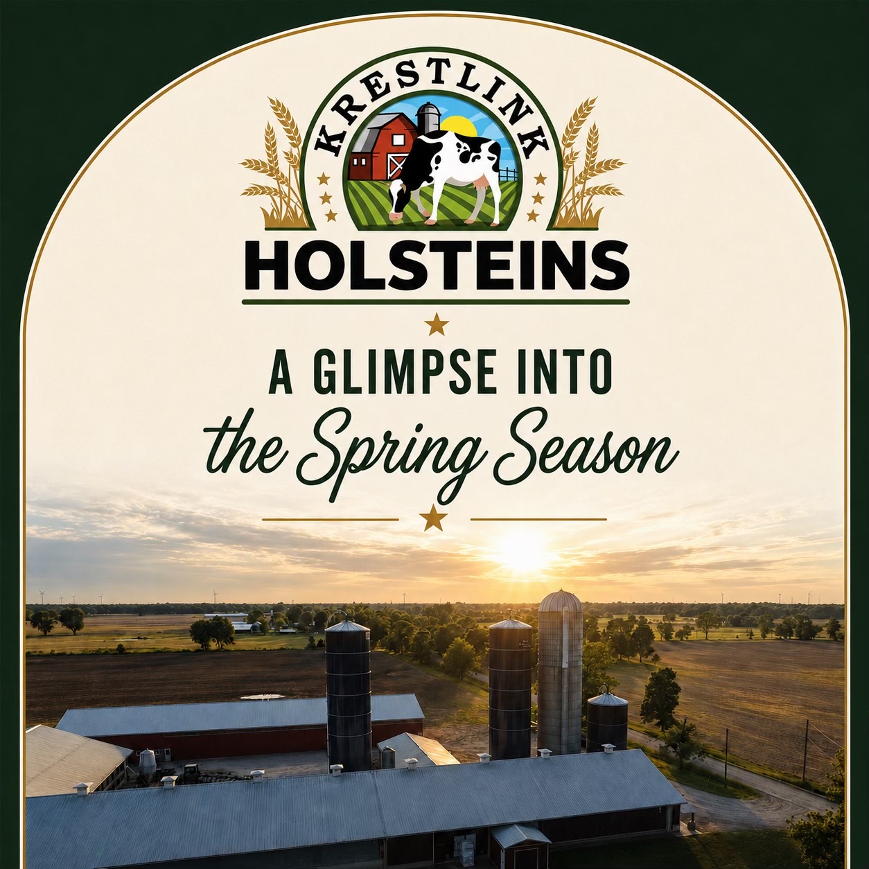 @Krestlink Holsteins