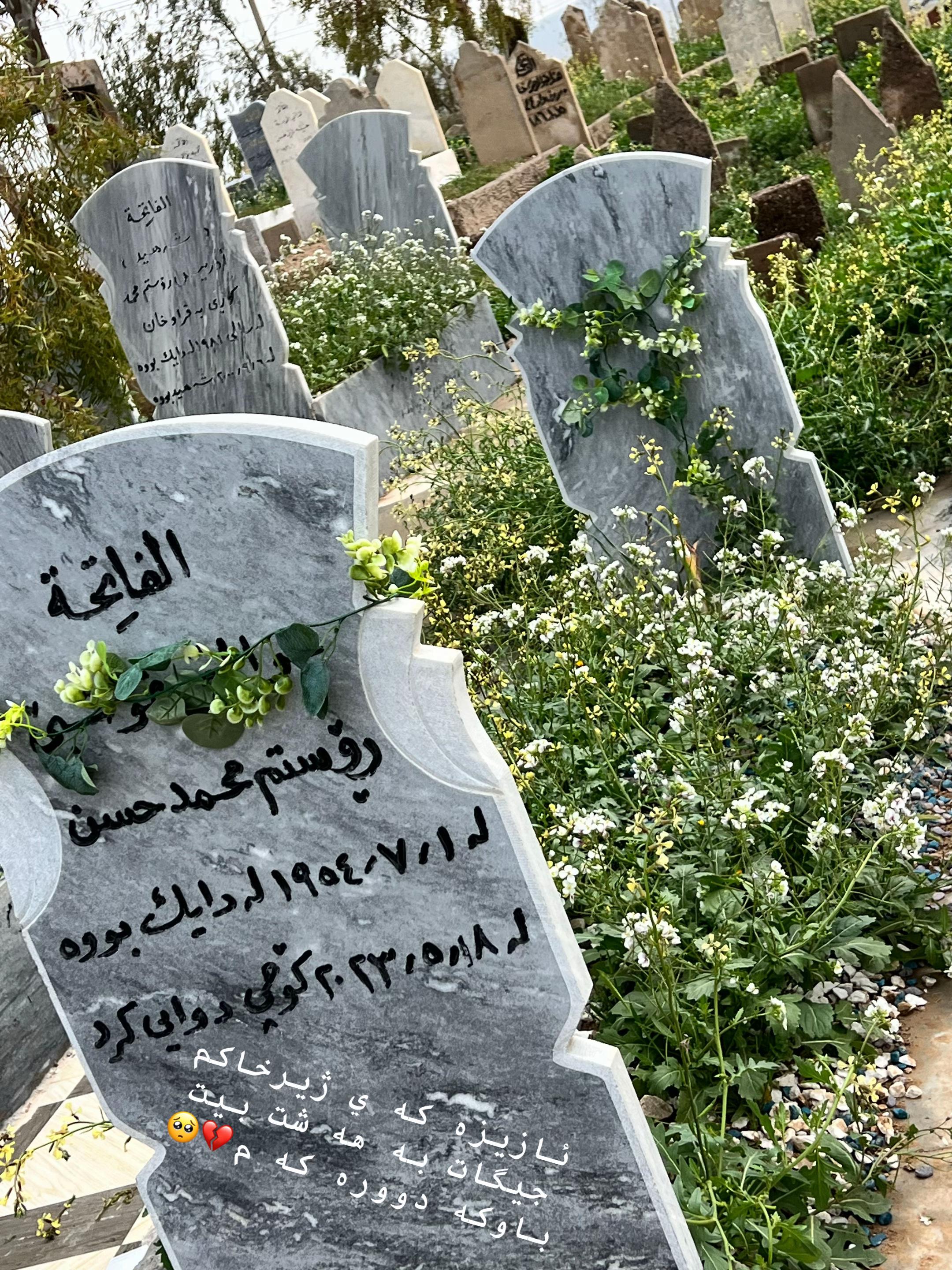 @🤍﮼بەرخە ﮼سپیەکەم