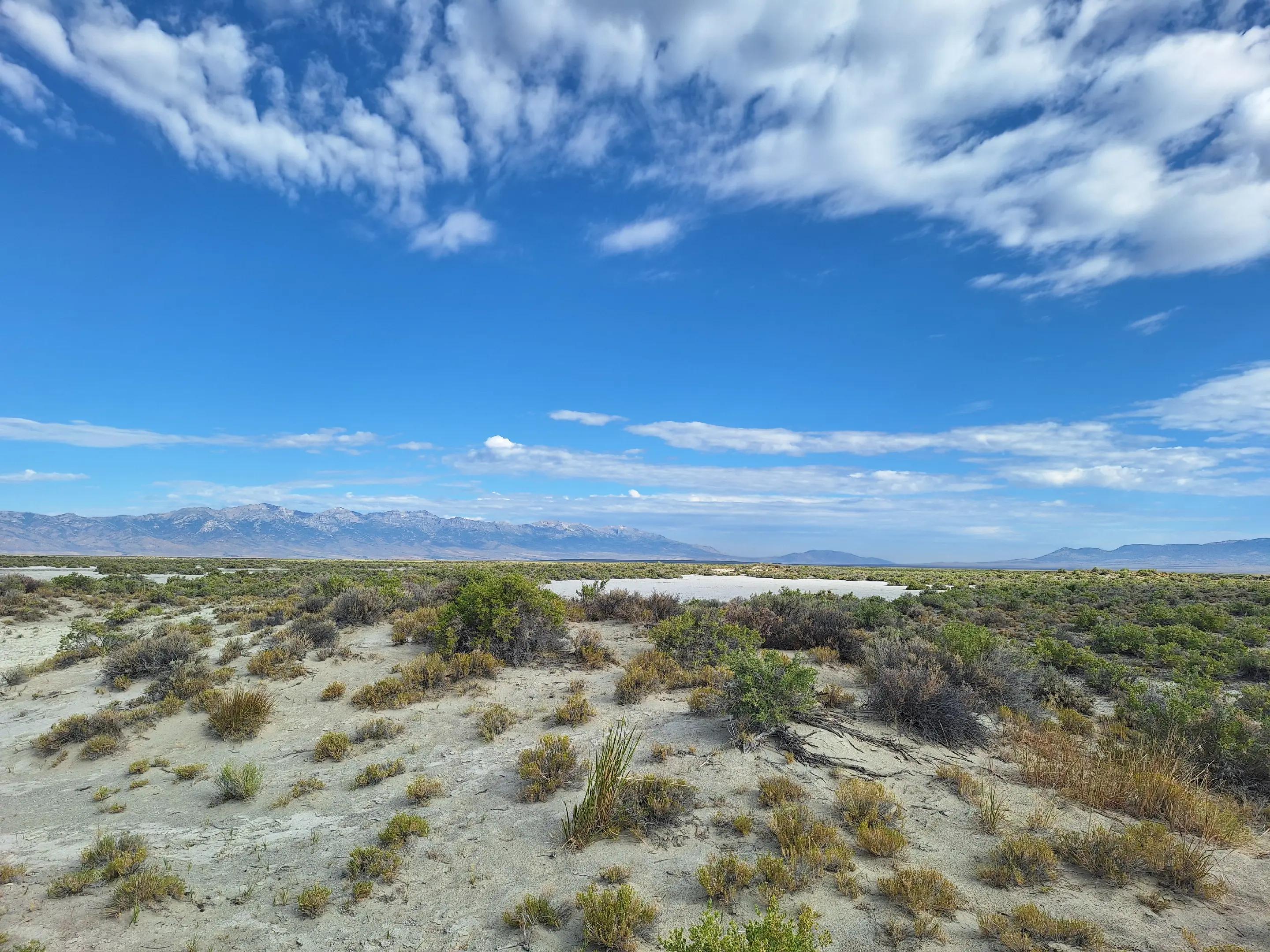 @Nevada HIGHDesert