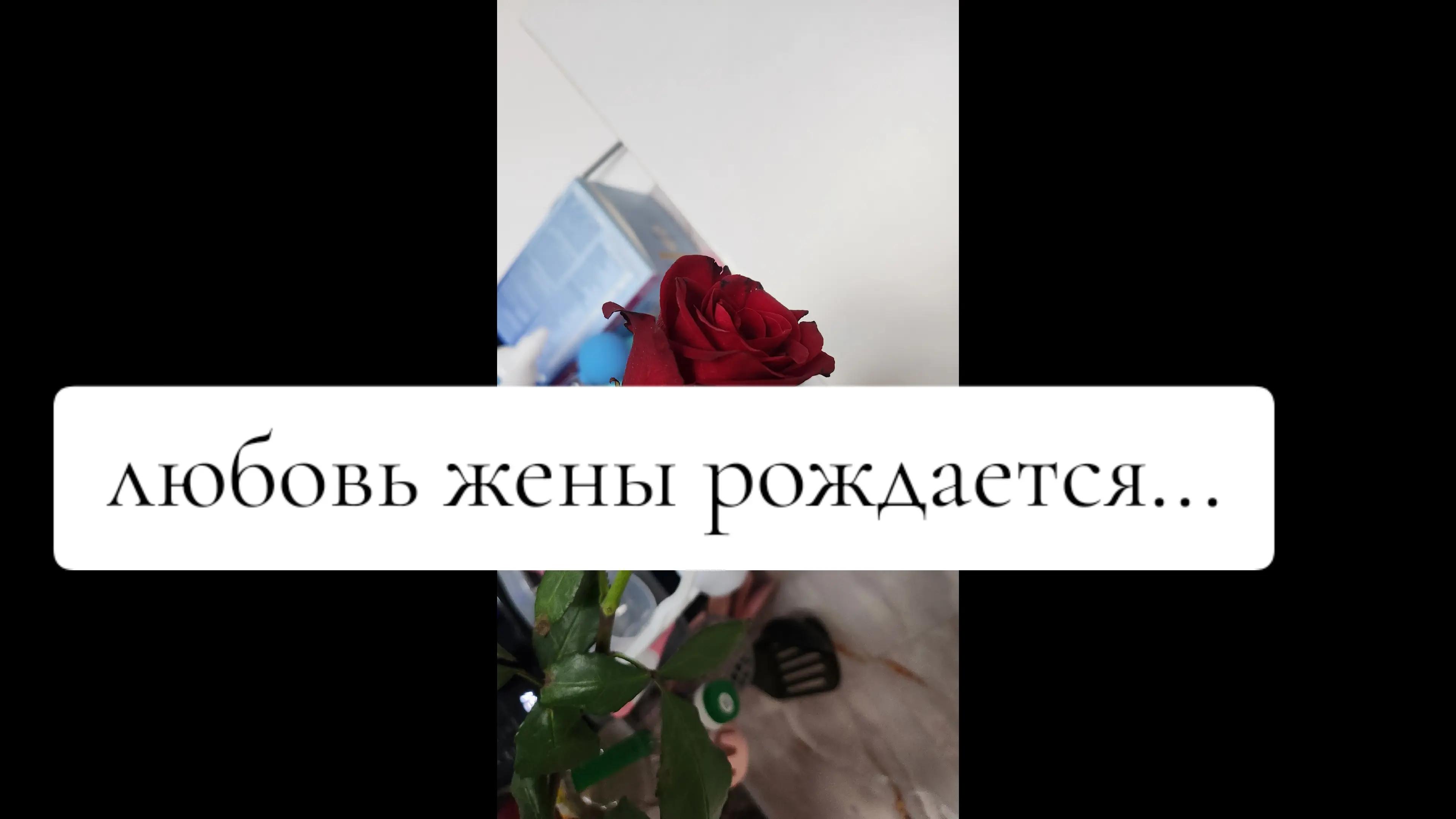 @mommy