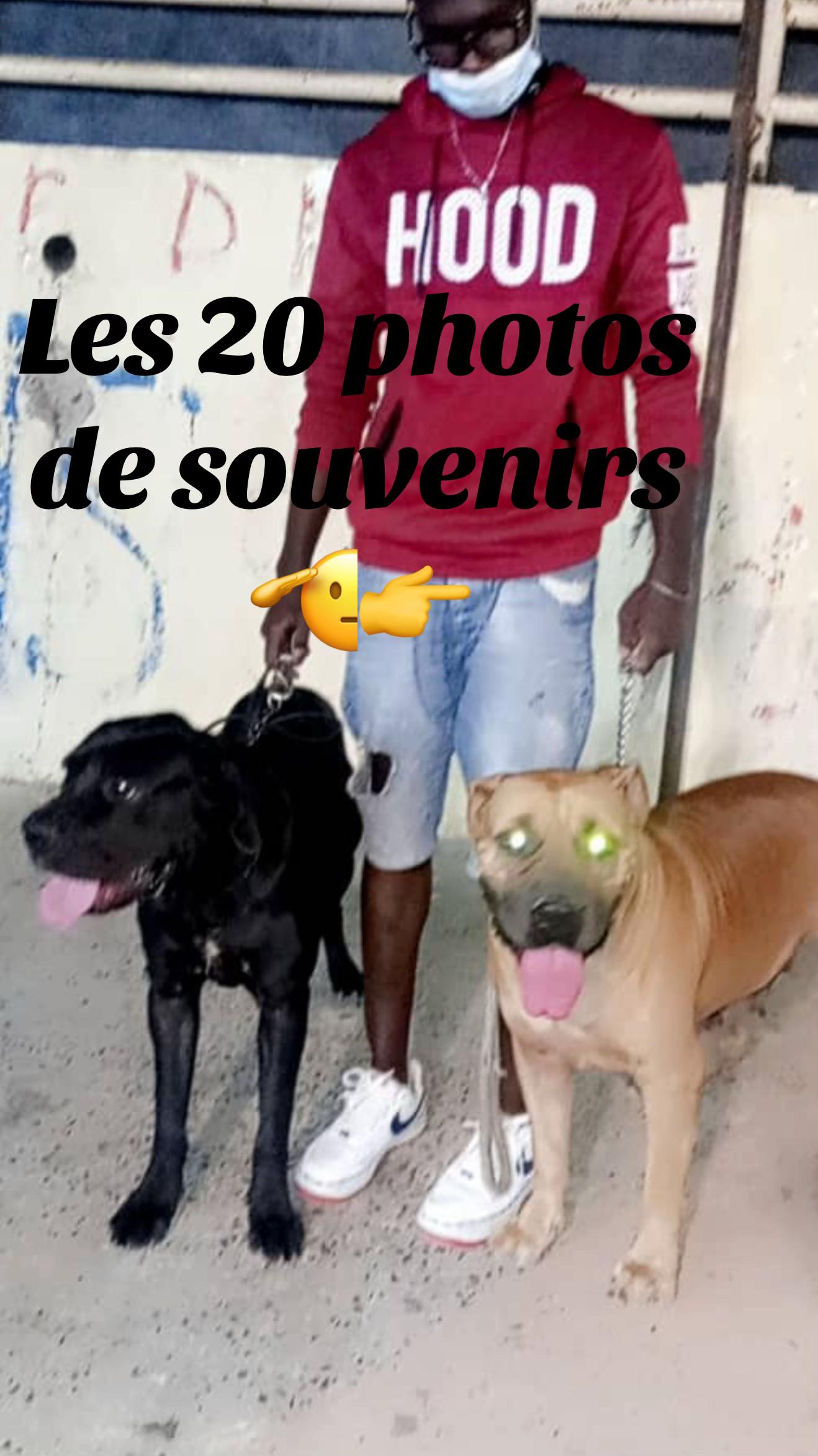 @Momoparleauxchiens🇸🇳🇩🇪