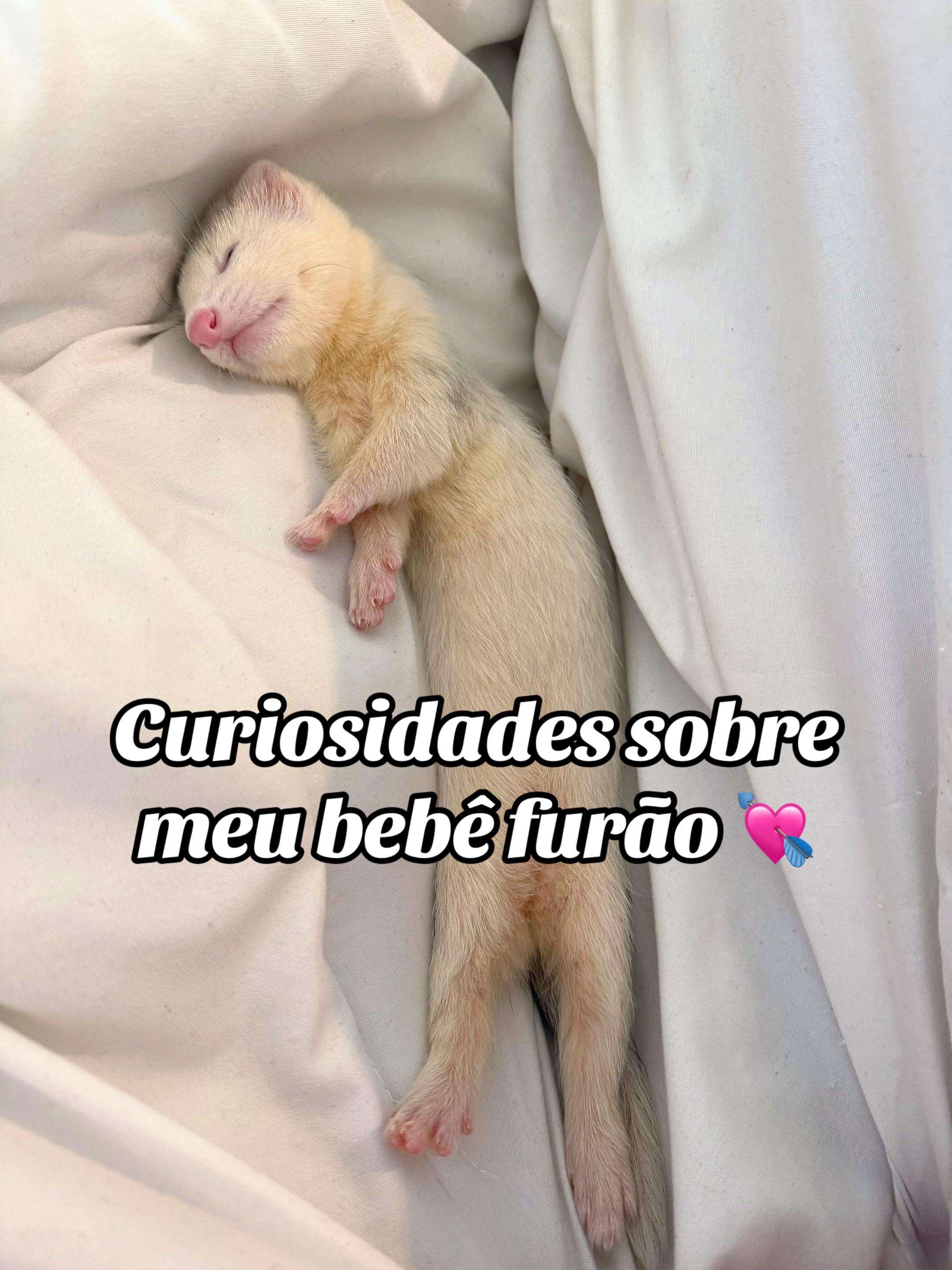 @gionaeuropa