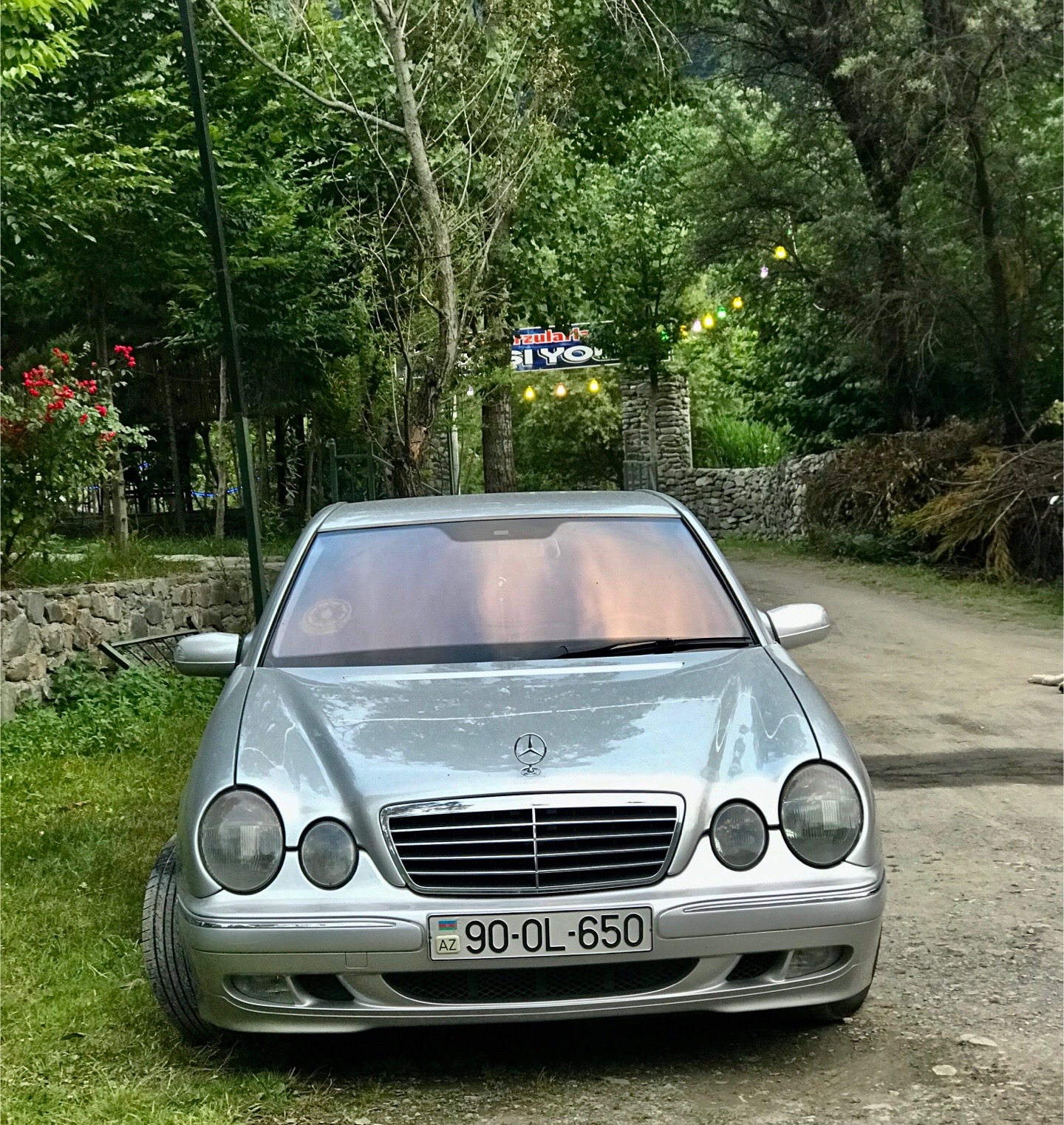 @𝓐𝓵𝓲𝔂𝓮𝓿