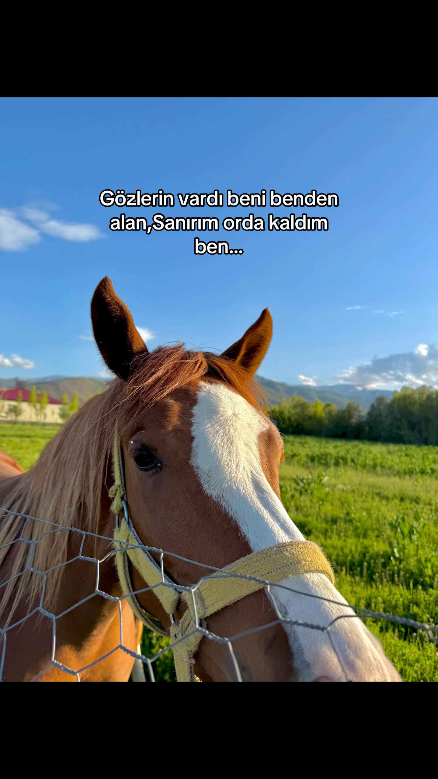 @𝓑.