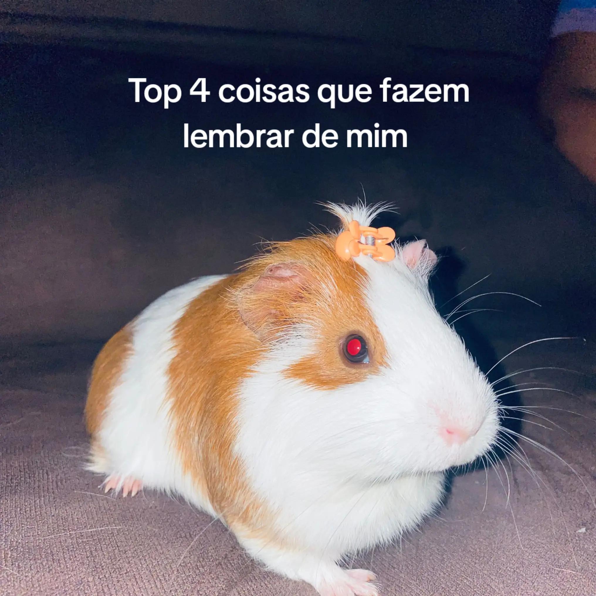 @ִֶָ ݁ 𝓛 ih‧˚💮