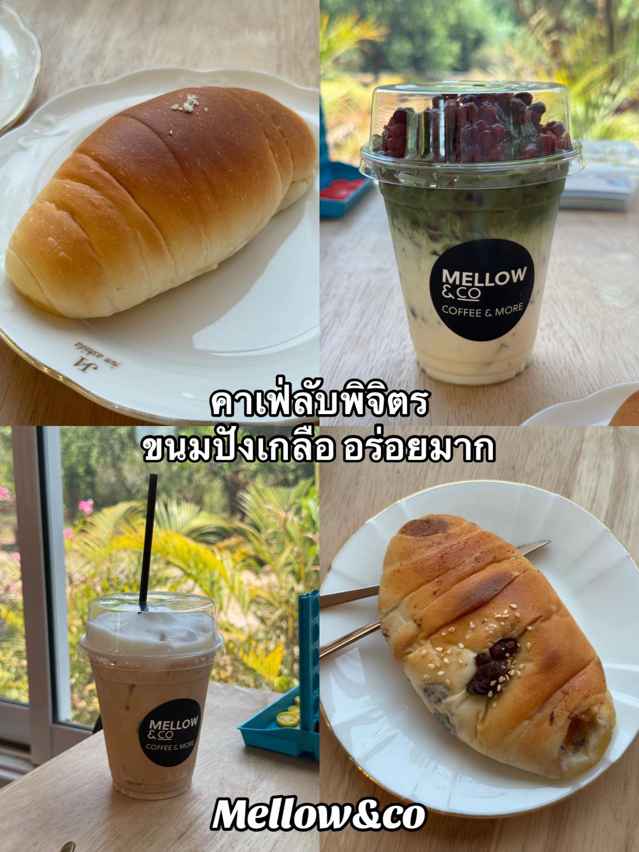 @อยู่พิจิตร