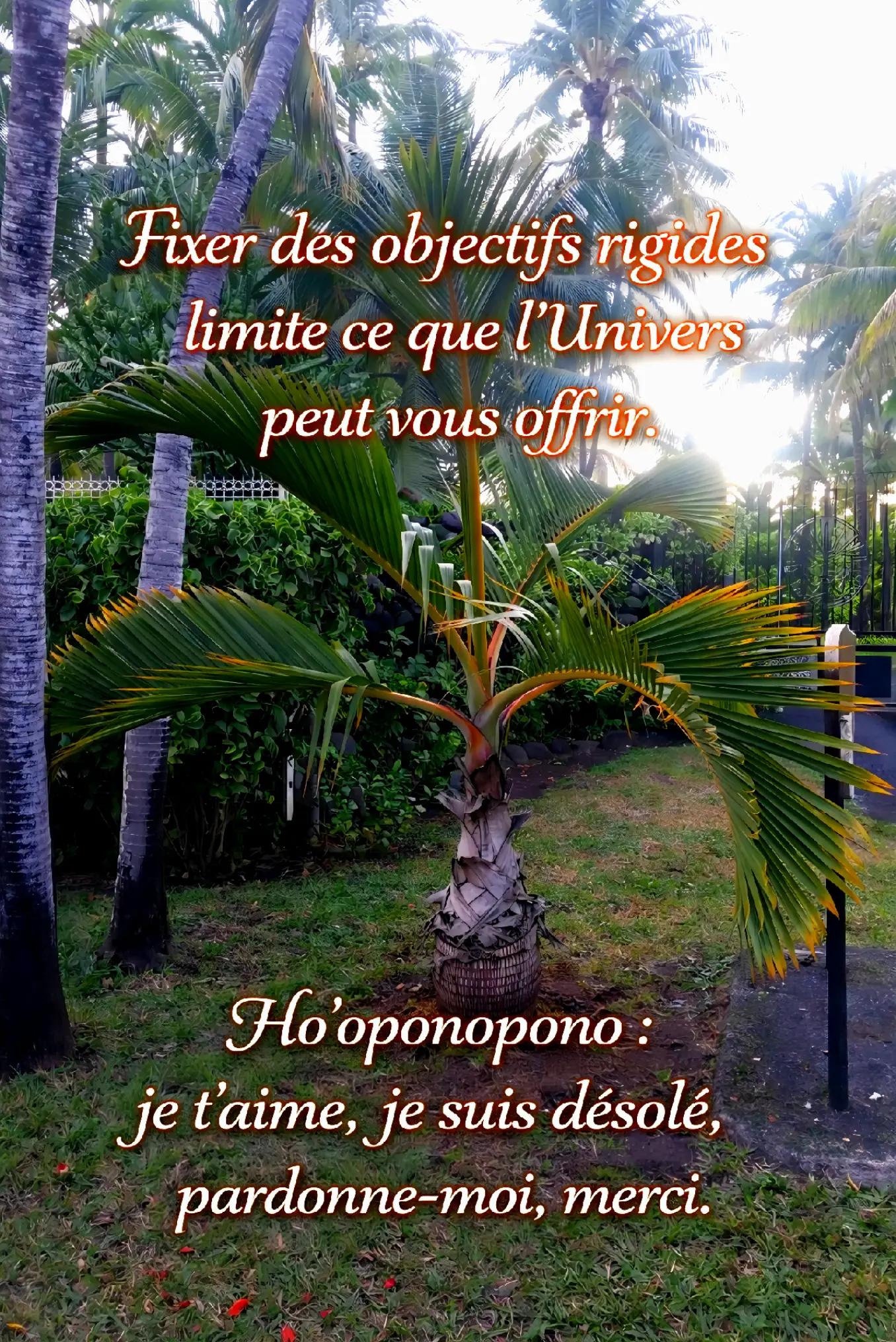 @Tanoa