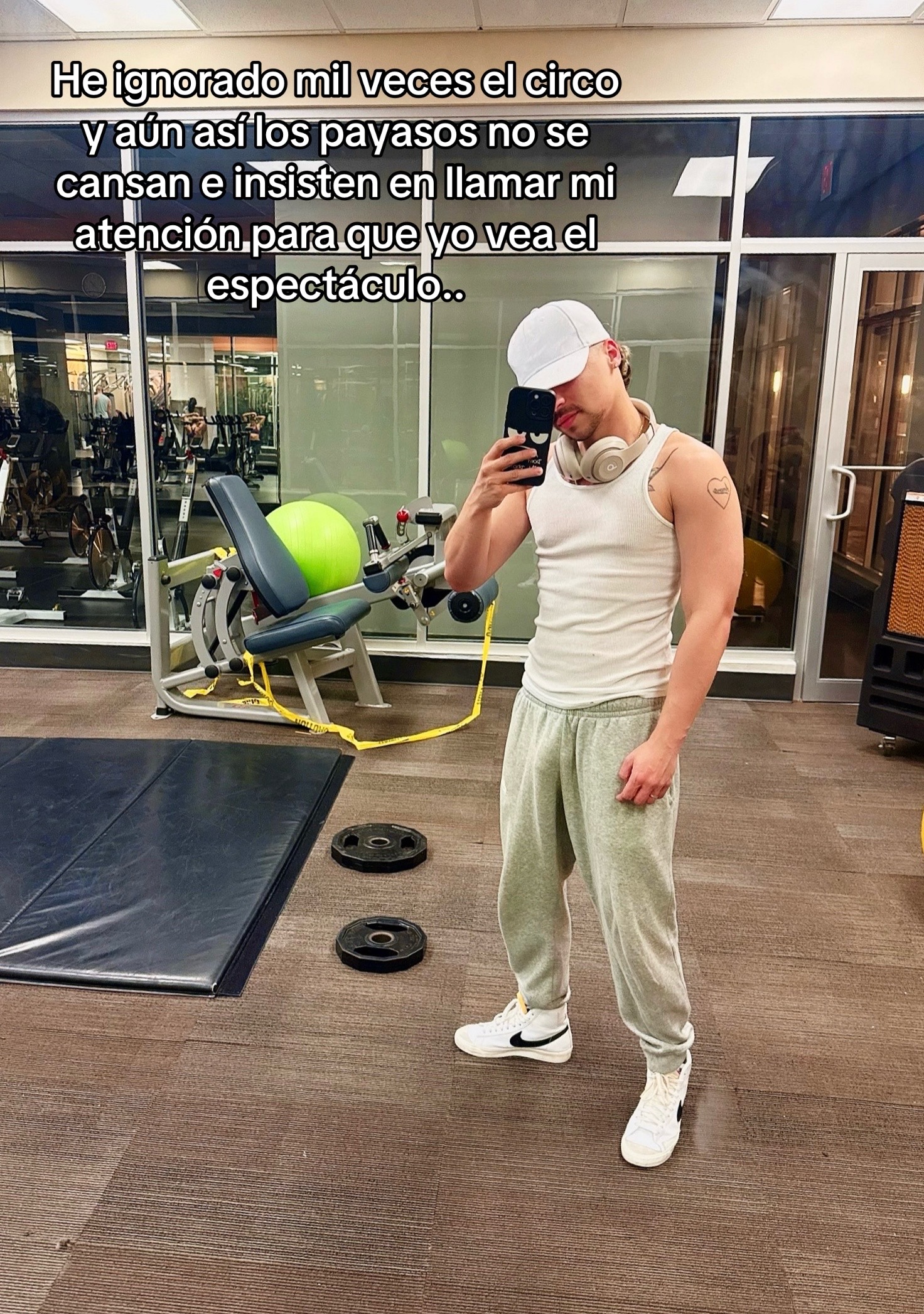 @dariodcelis