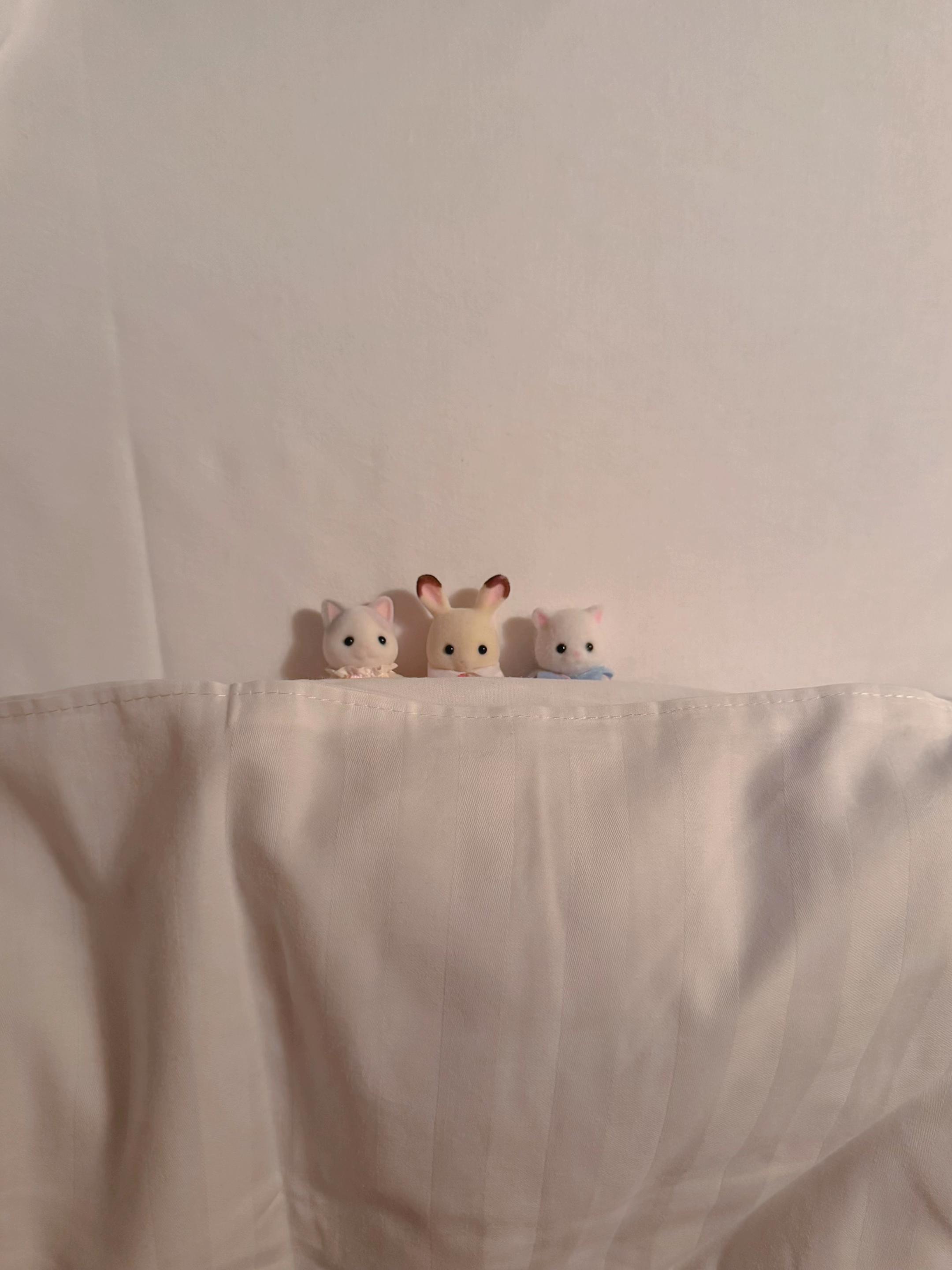 @Tsubakiii
