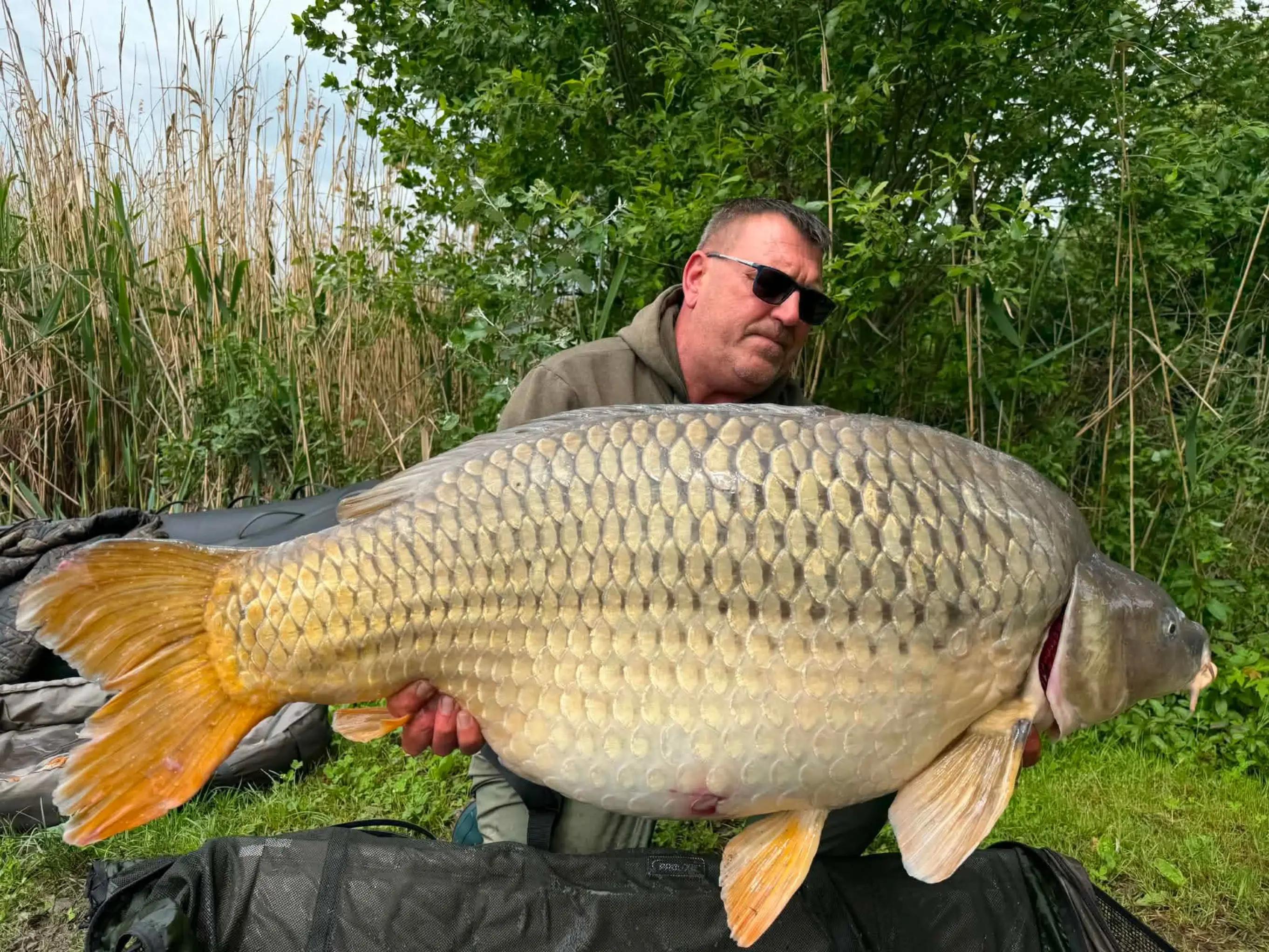 @Bait Bait Germany