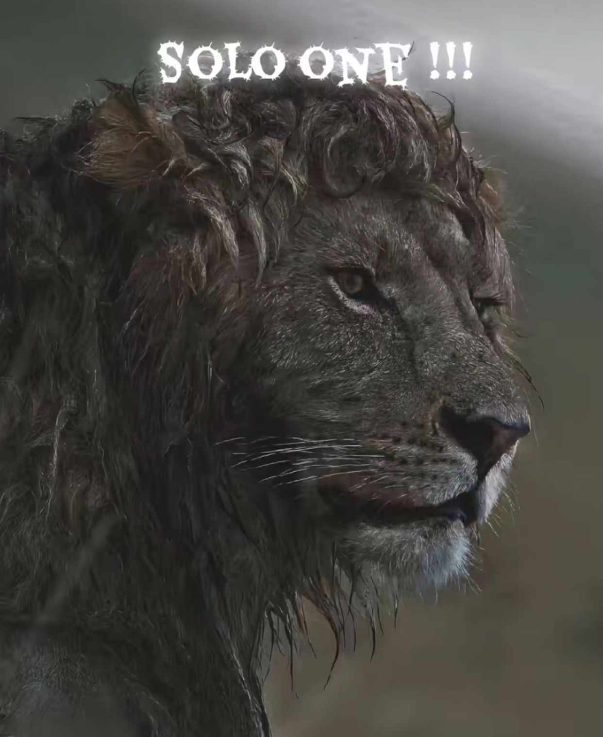 @𝕮𝖍𝖆𝖒𝖚