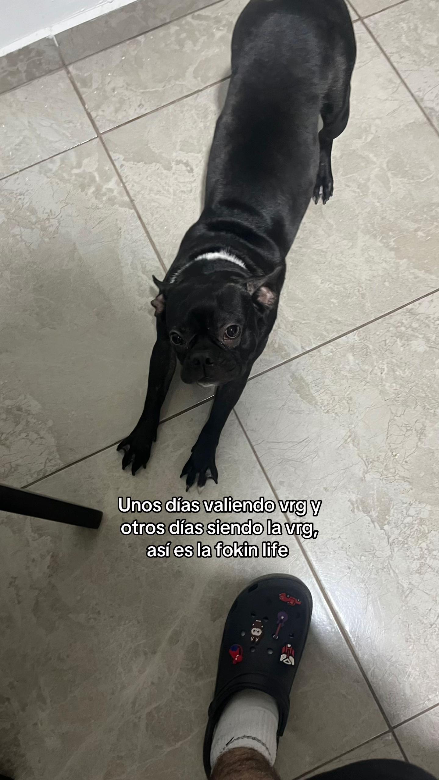 @portillo.80