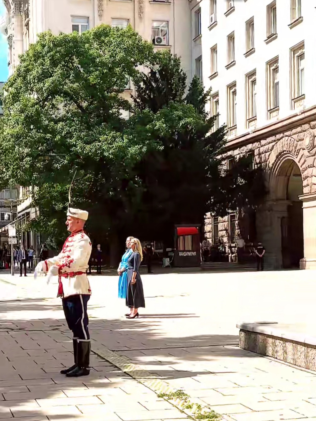 @Нели Манова