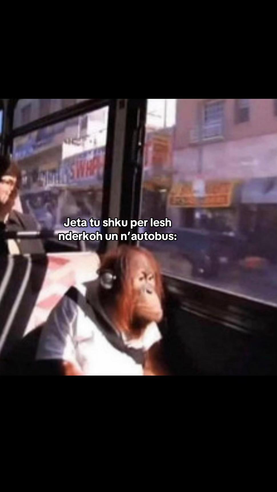 @🇦🇱