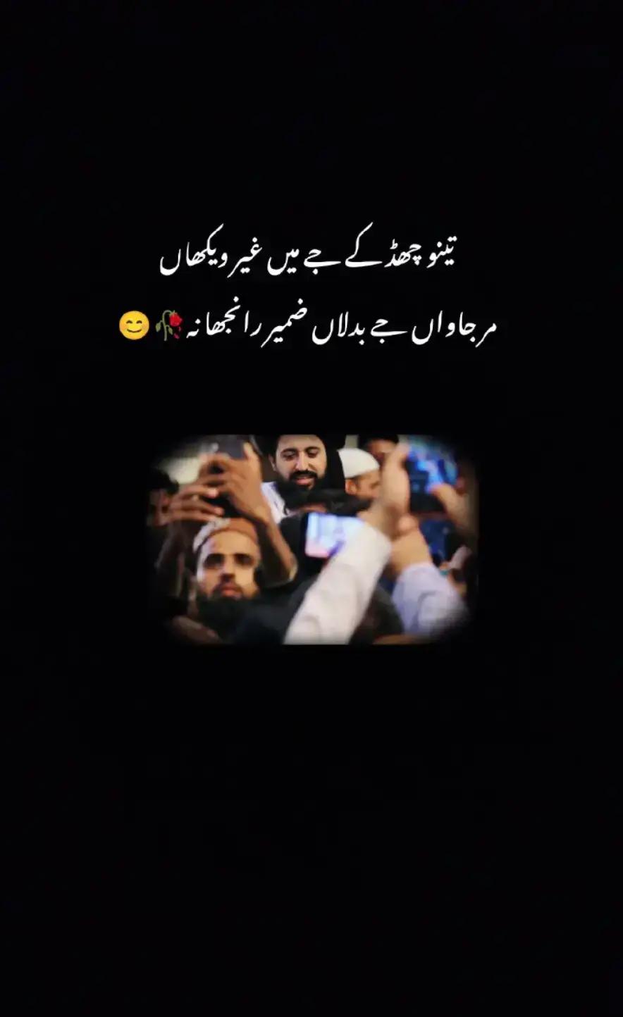 @رضوی کہتے ہیں 🇵🇰🇸🇦