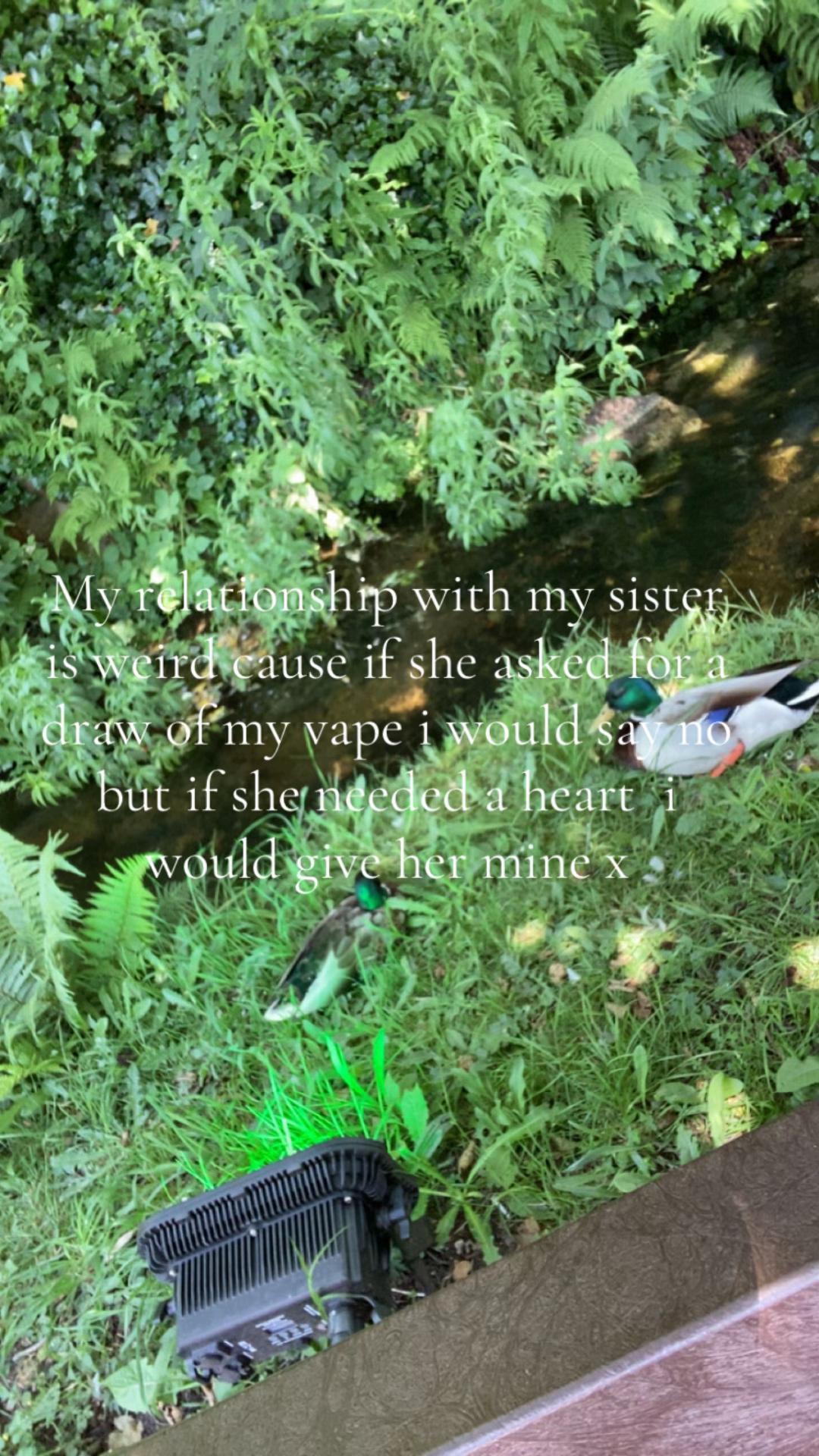 @Lils𖨆