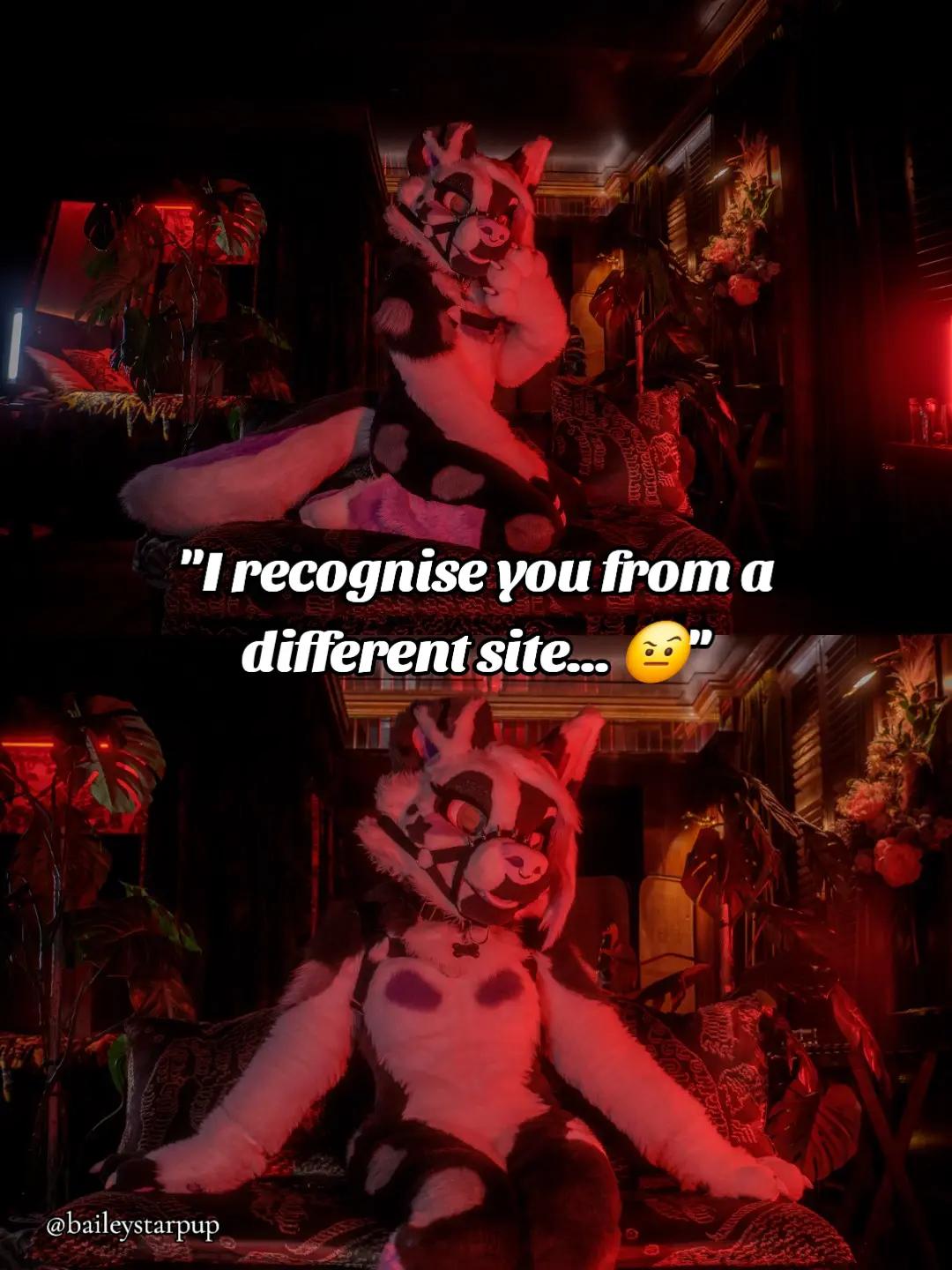@Bailey (lilpixiekitten)